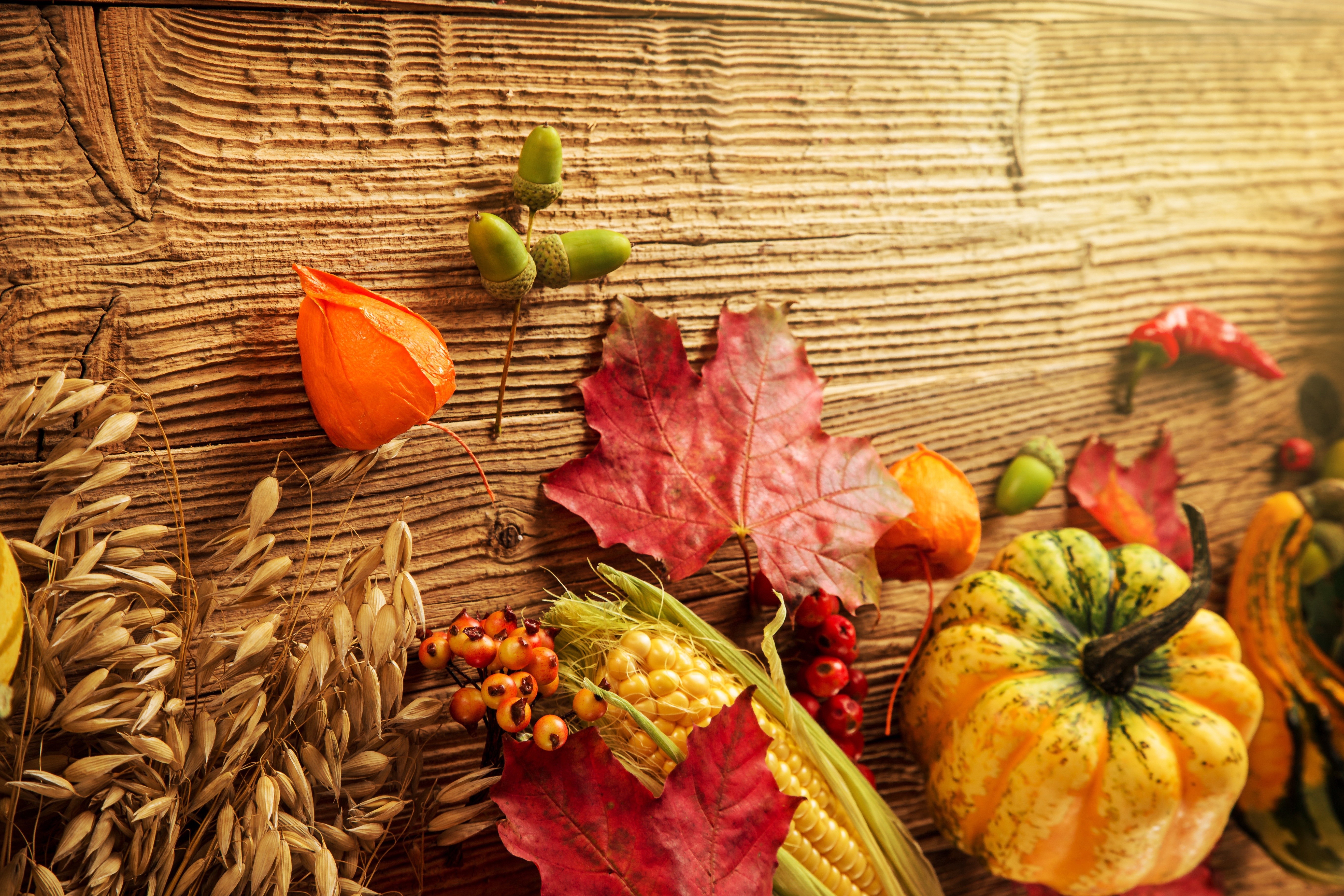 Autumn Harvest Display with Pumpkins and Corn HD Wallpaper