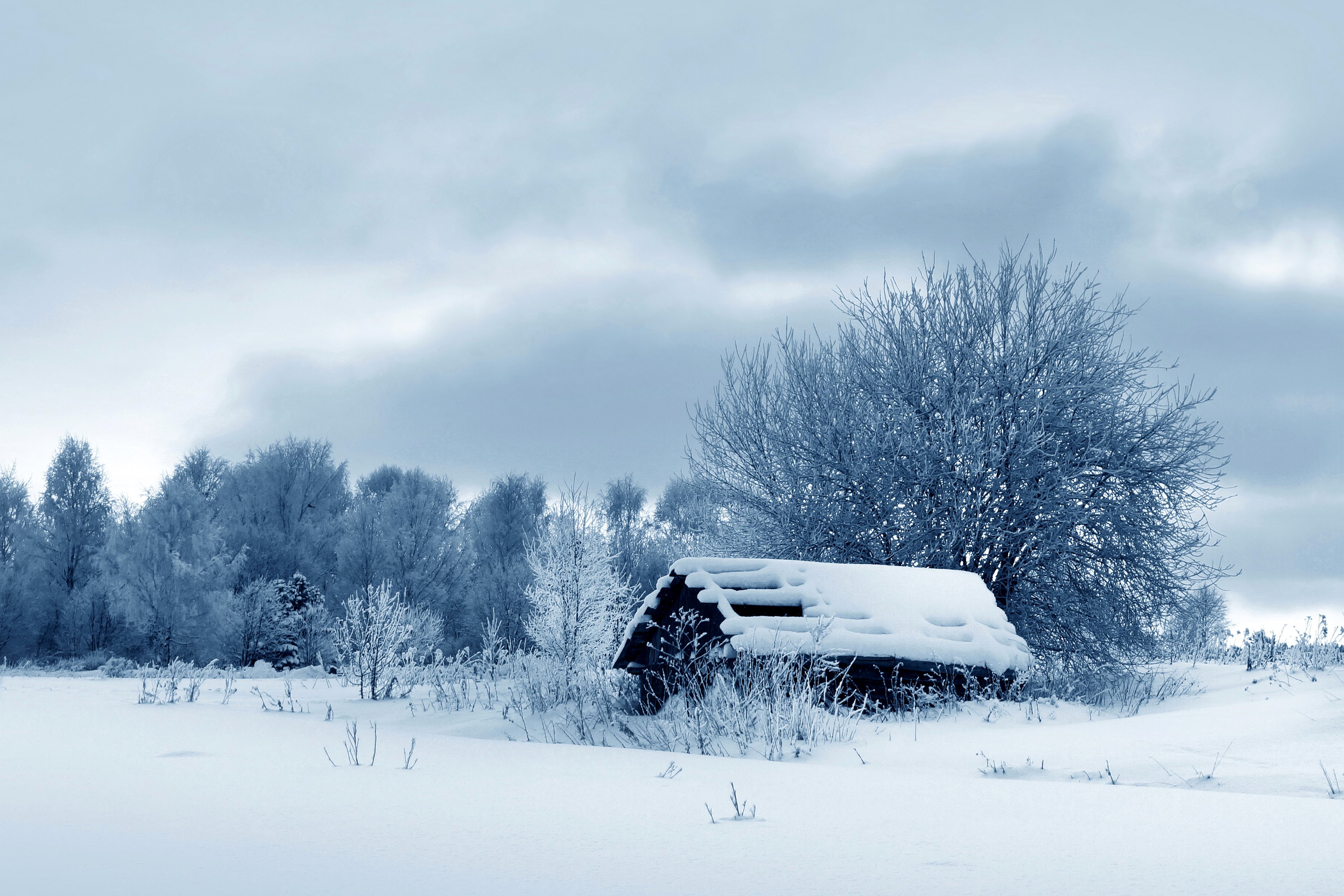 Abandoned cabin in a snowy winter landscape with trees HD Wallpaper