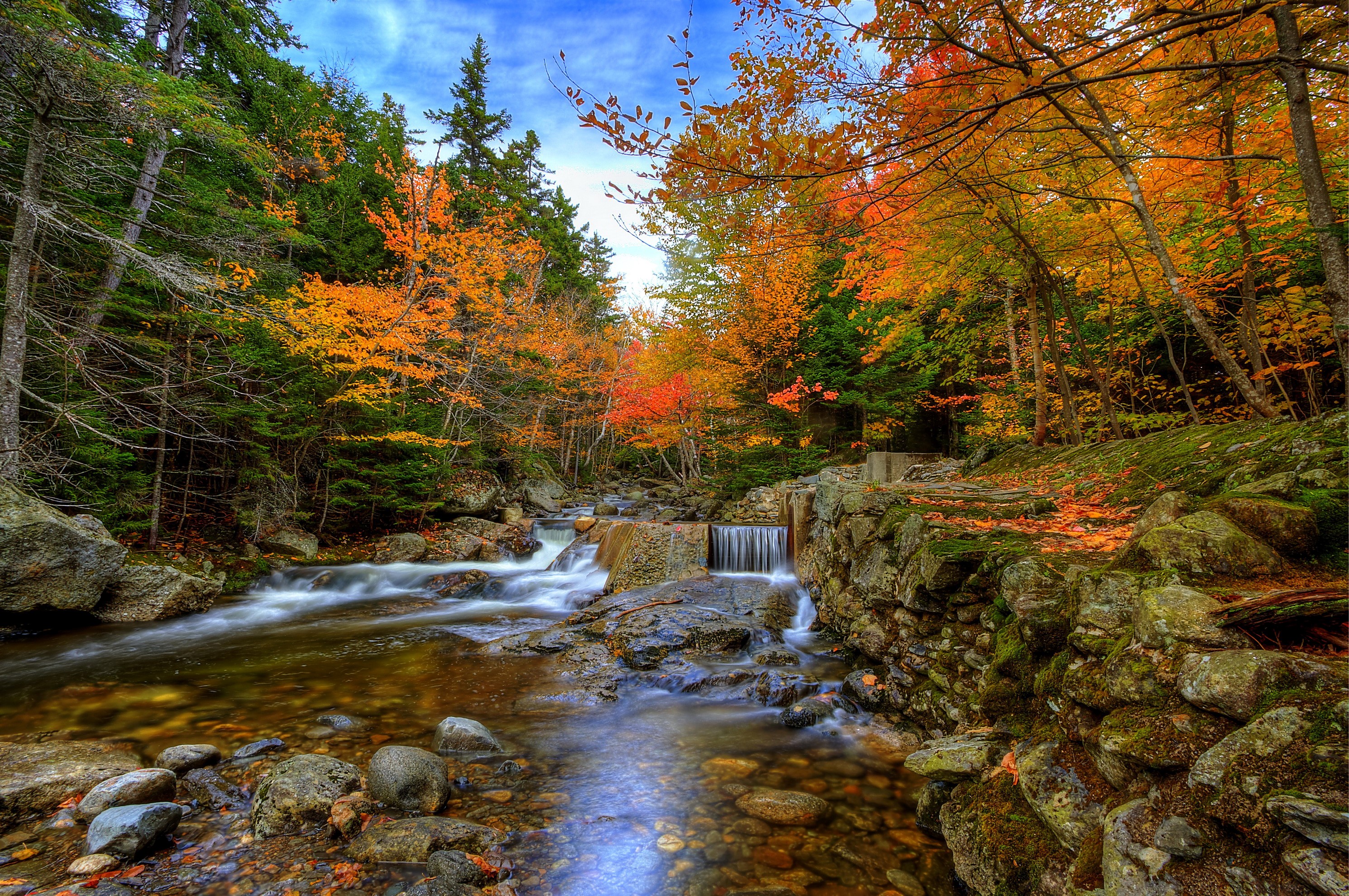 Autumn forest stream with waterfalls and rocks HD Wallpaper