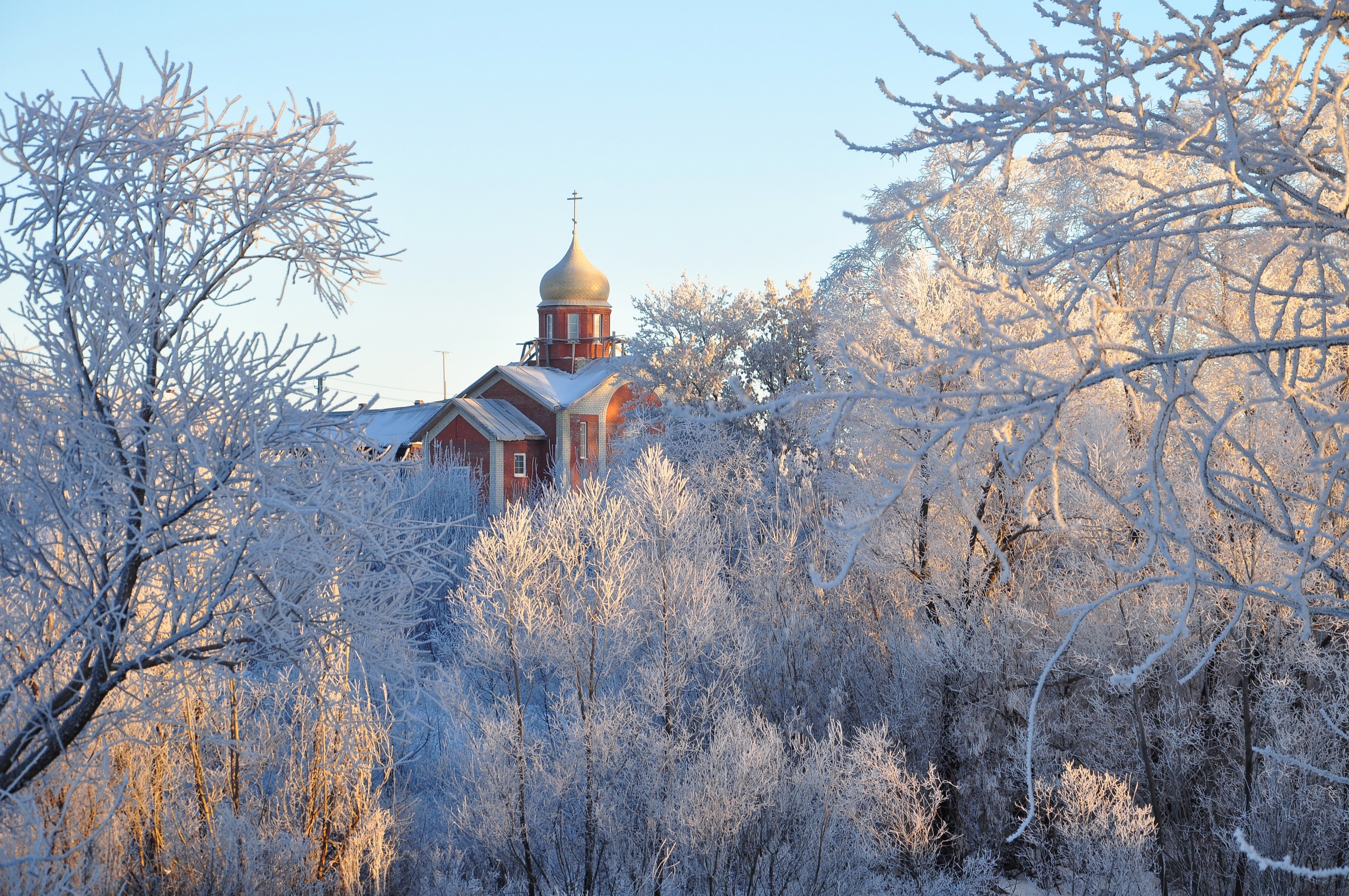 Church with golden dome surrounded by frosted trees in winter HD Wallpaper