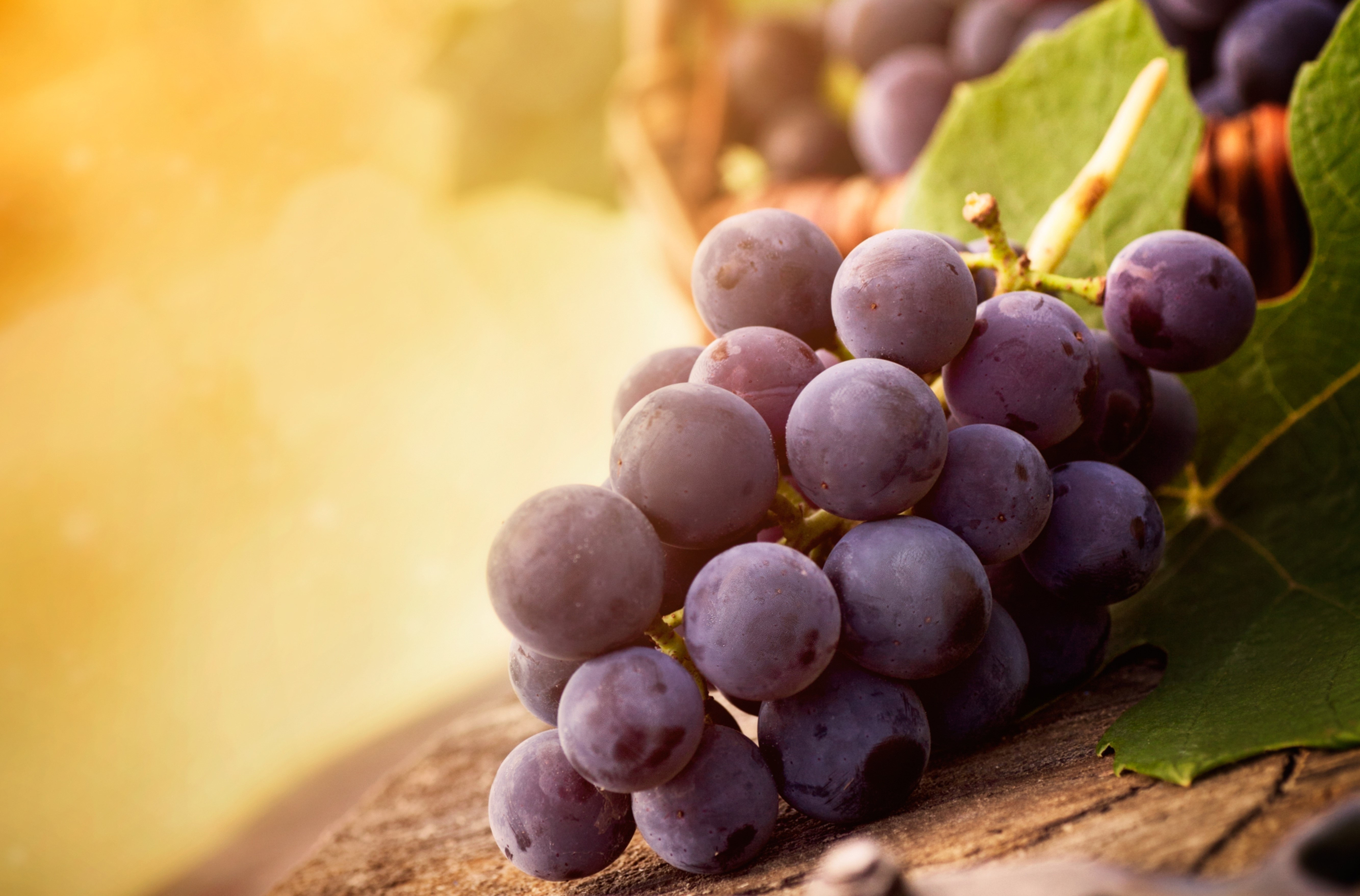 Grapes in a basket HD Wallpaper
