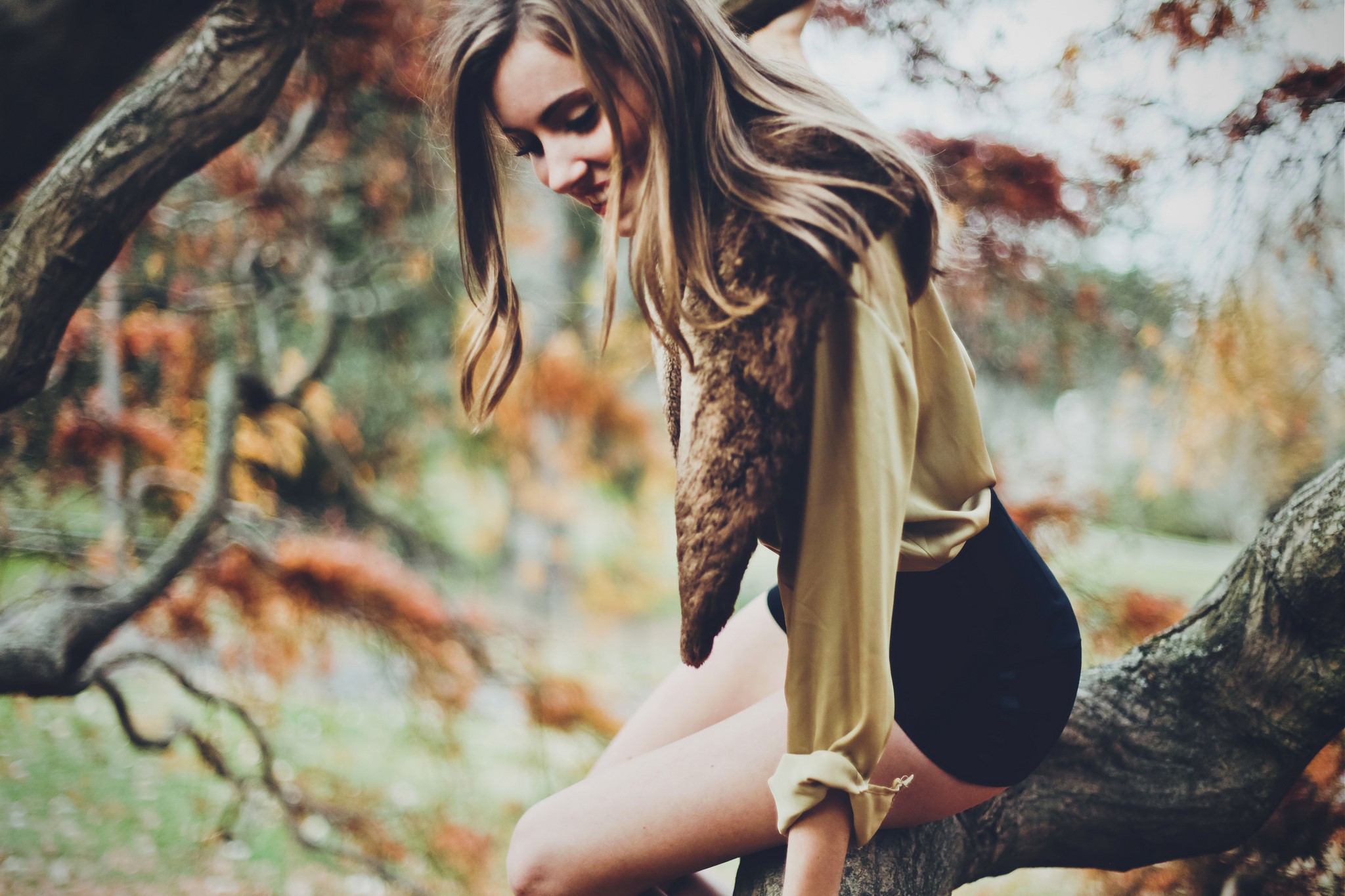 Girl sitting on a tree branch in autumn HD Wallpaper