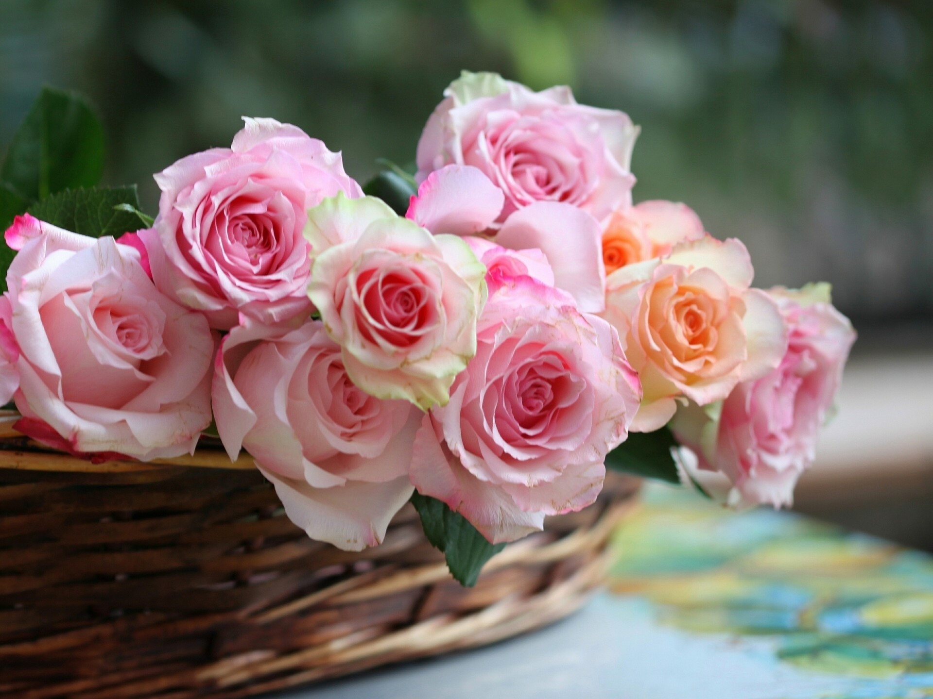 Pink and orange roses in a wicker basket HD Wallpaper