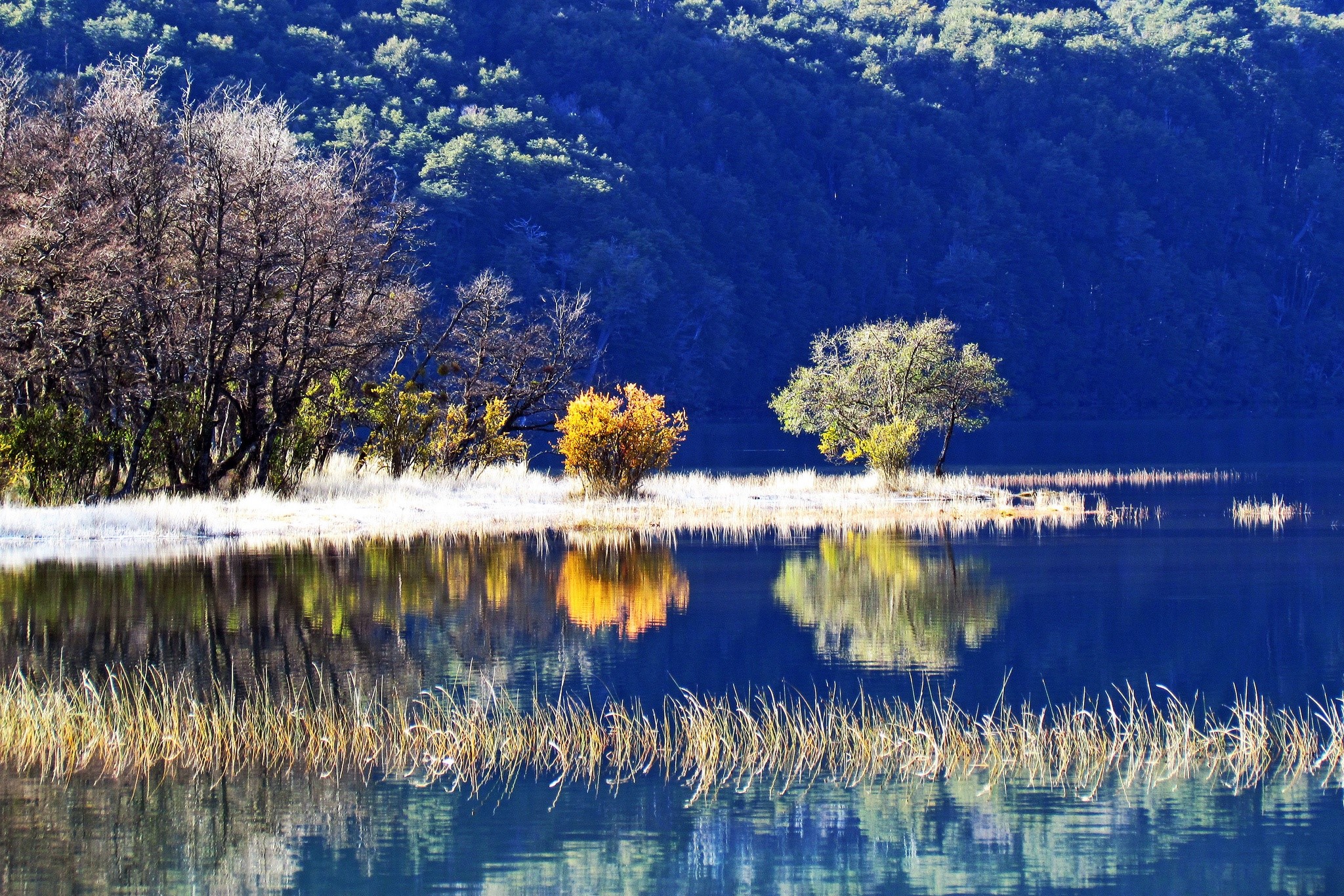 Autumn trees reflected in a calm lake with a forested mountain in the background HD Wallpaper