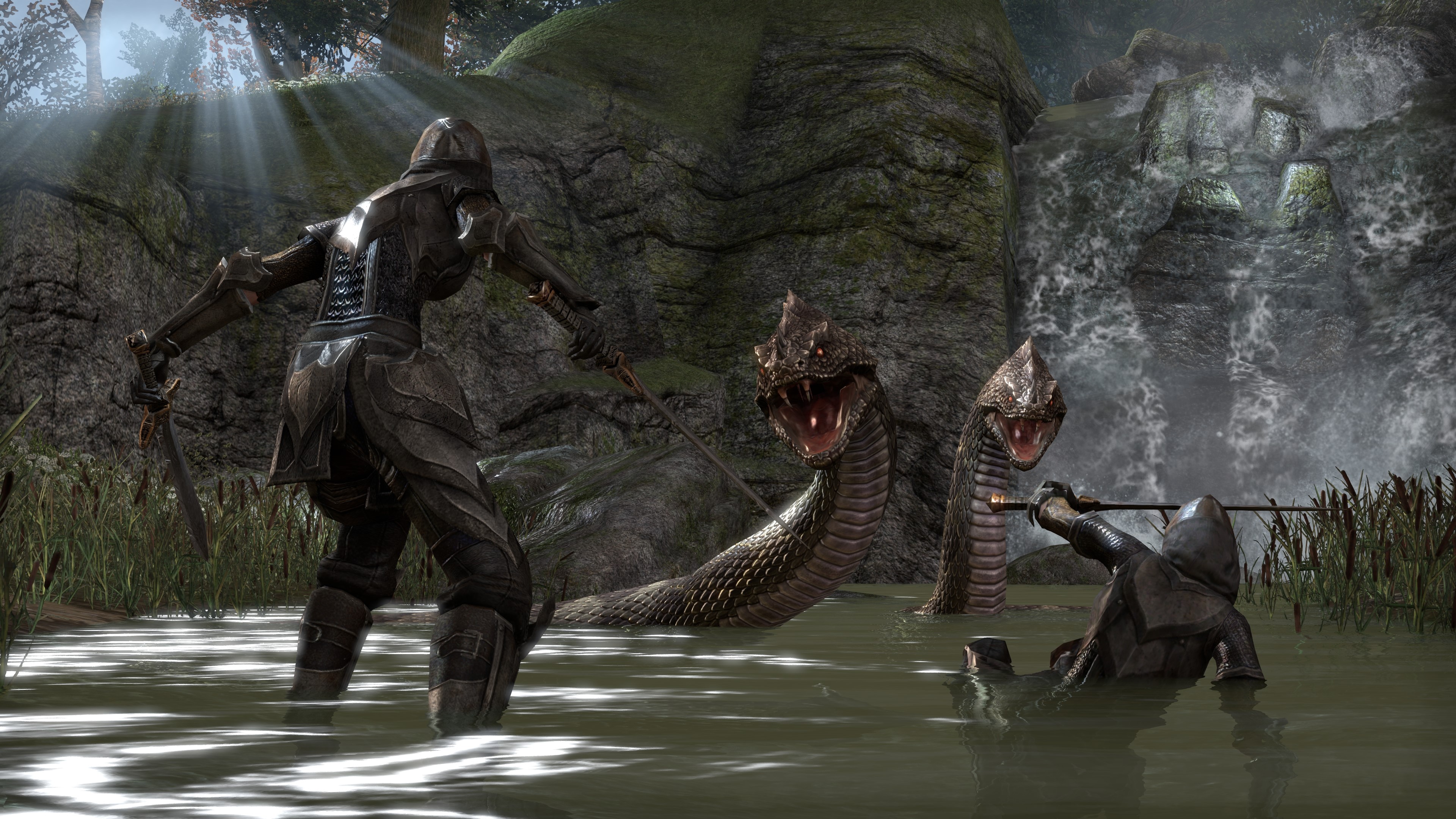 Warriors fighting snakes in The Elder Scrolls Online HD Wallpaper