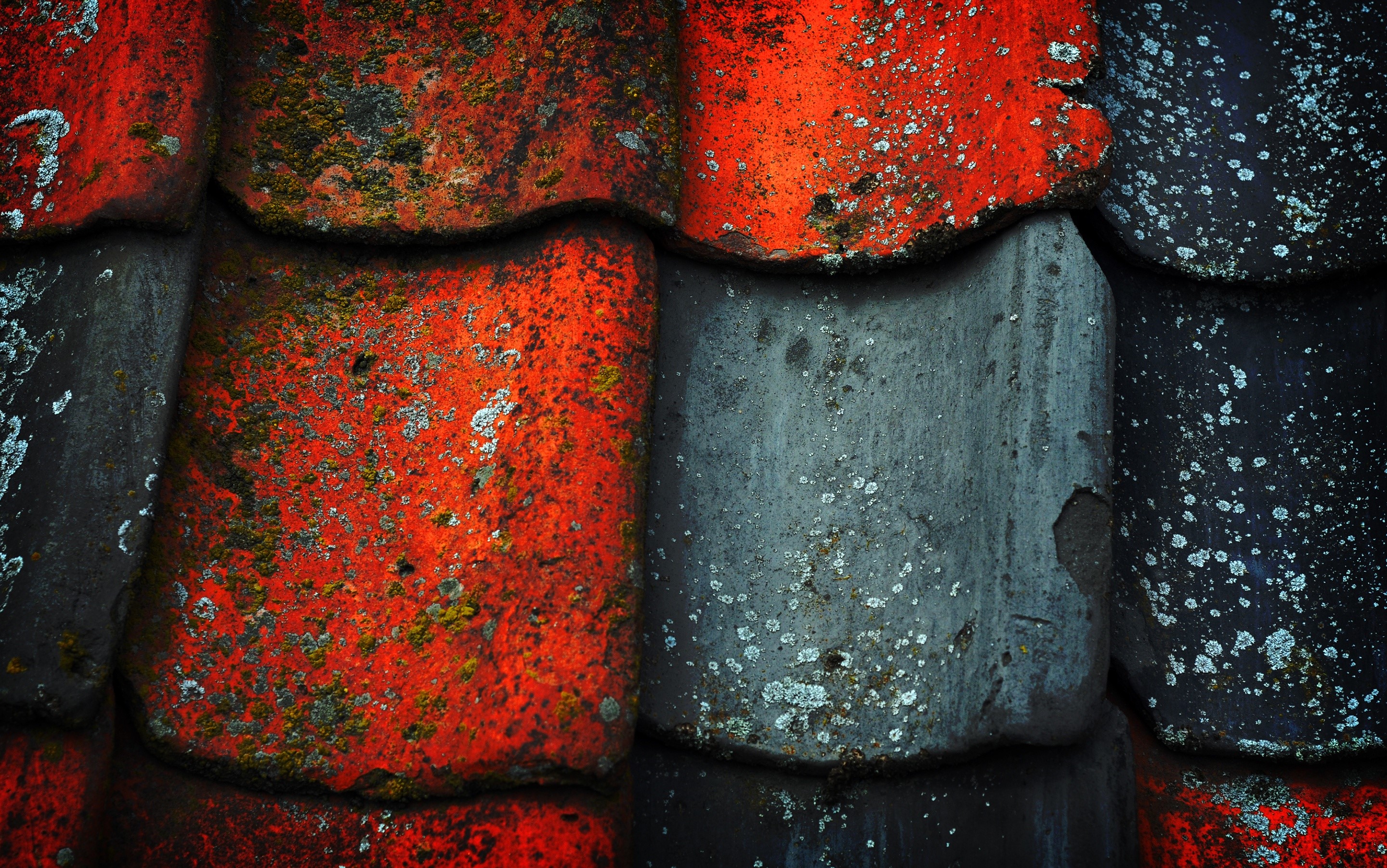 Close-up of weathered roof tiles with moss and lichen HD Wallpaper