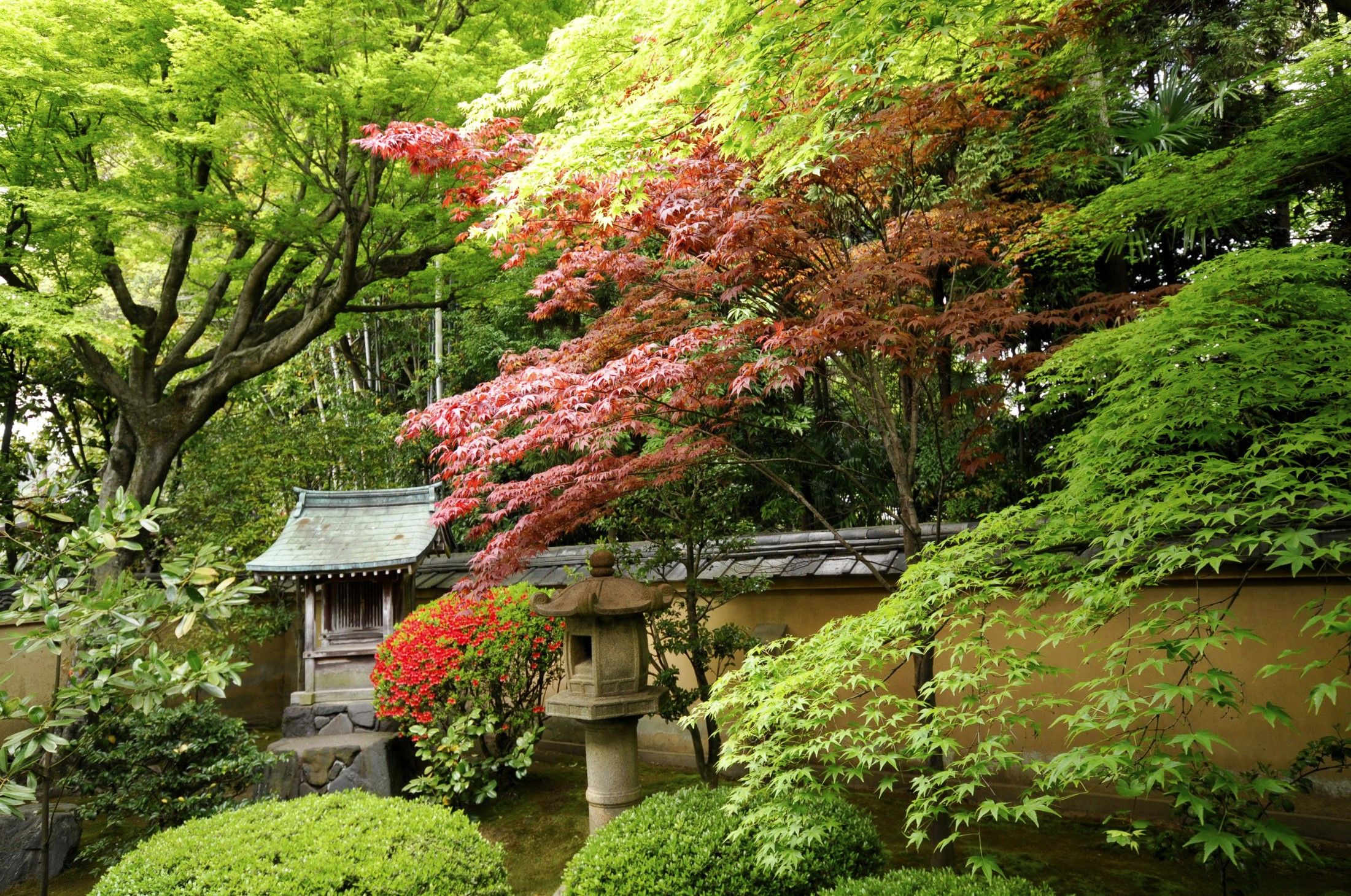 Japanese garden with stone lantern and shrine HD Wallpaper