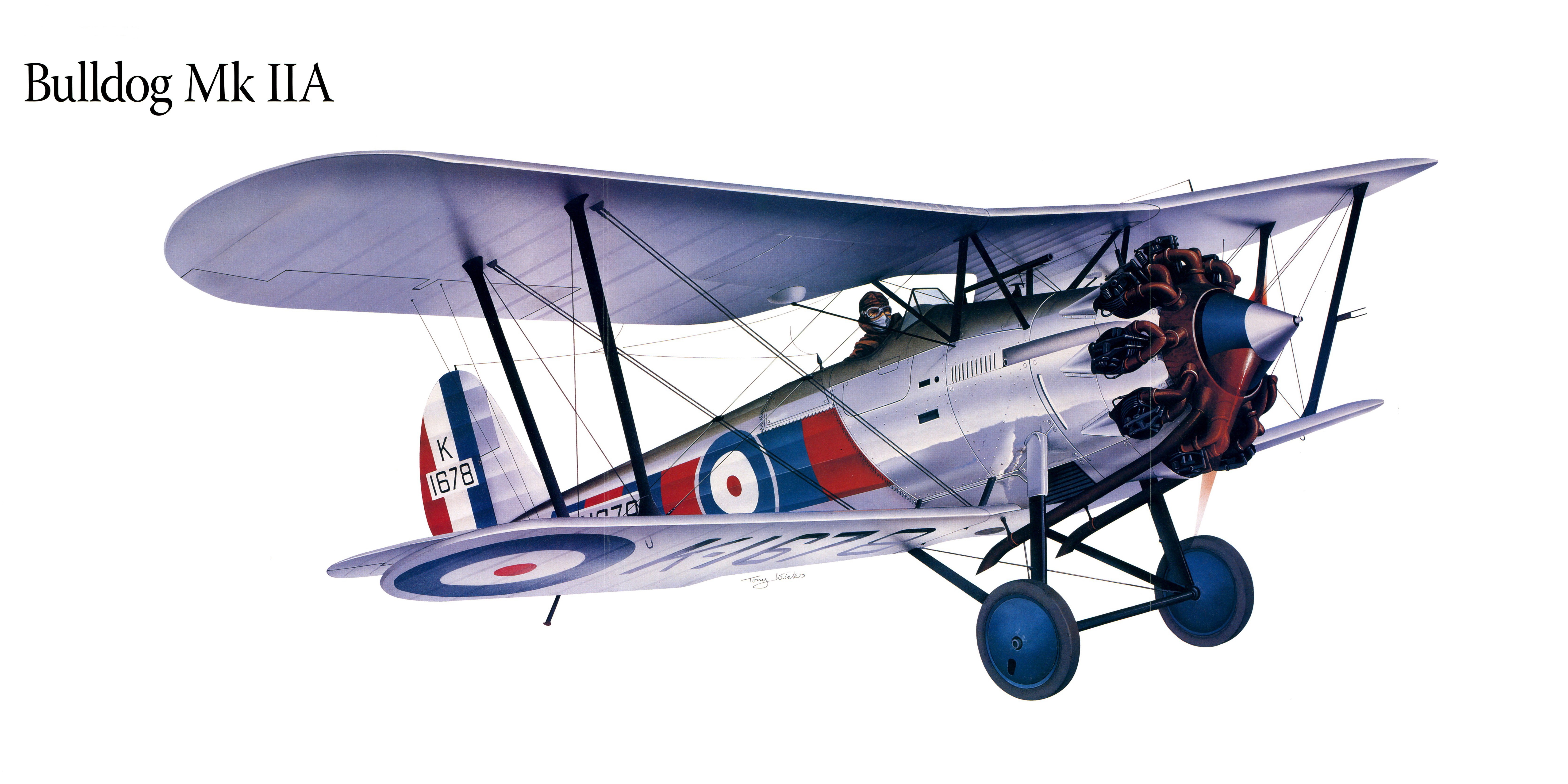Bulldog Mk IIA Airplane Painting Art HD Wallpaper
