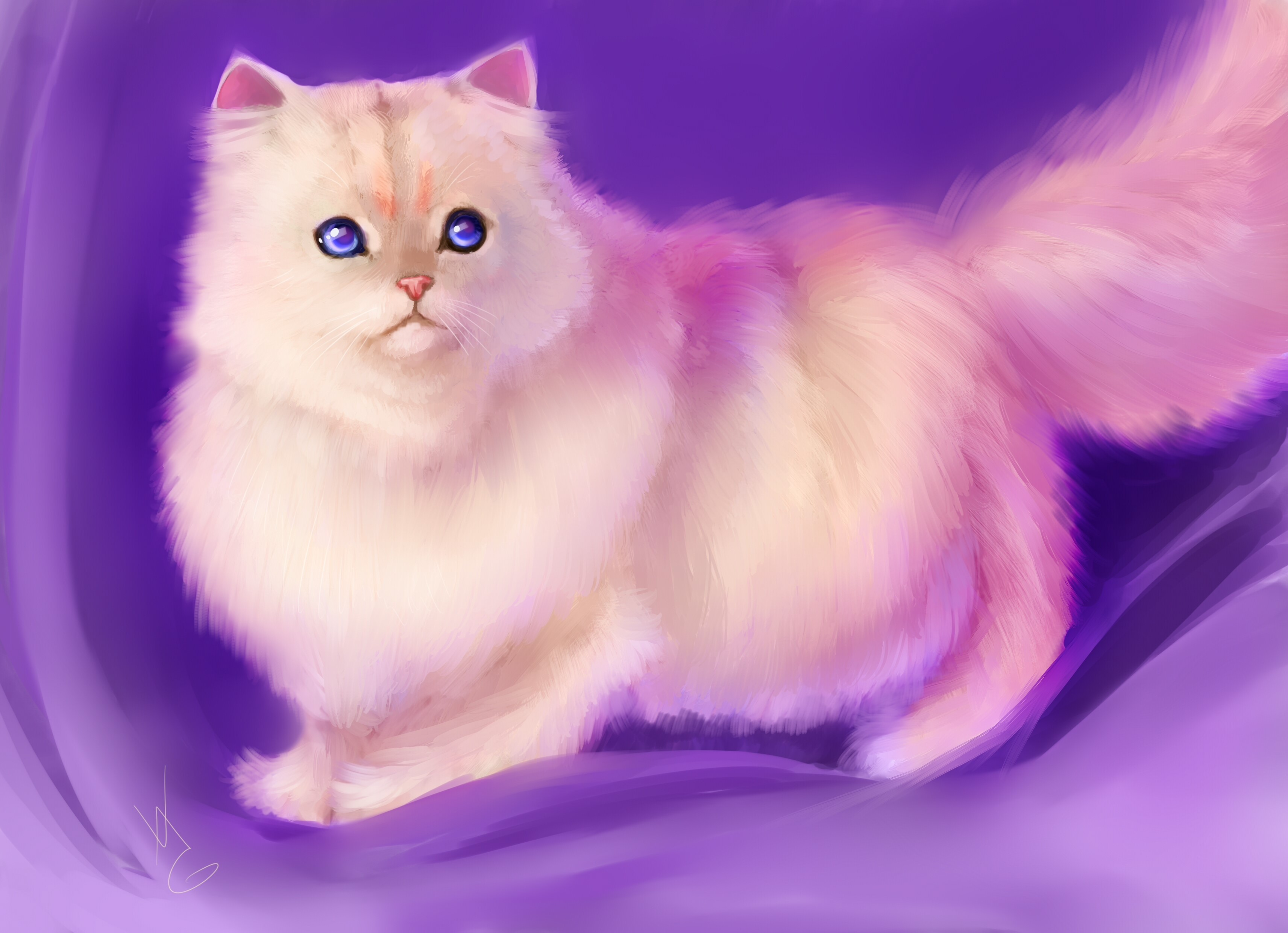Digital painting of a fluffy white cat with blue eyes HD Wallpaper