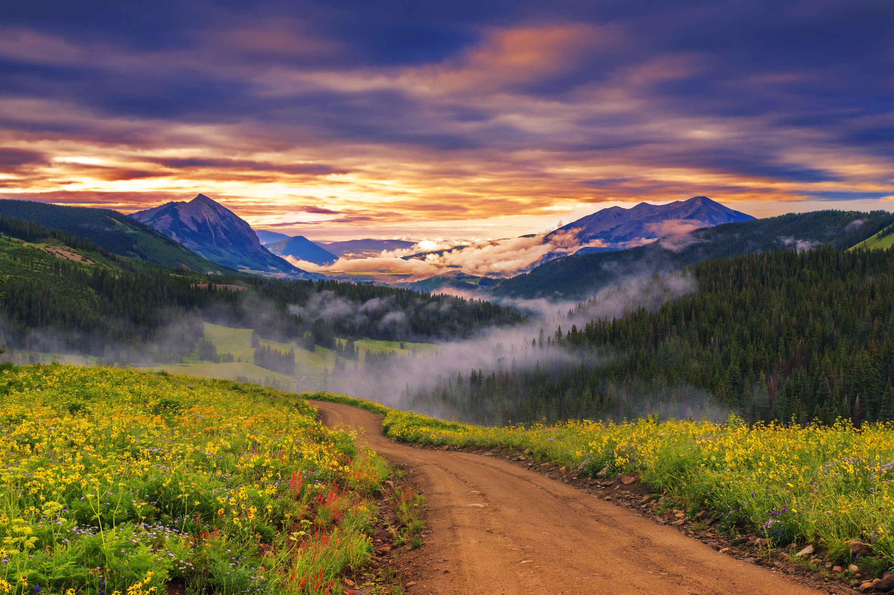 Mountain landscape with wildflowers and a dirt road at sunset HD Wallpaper