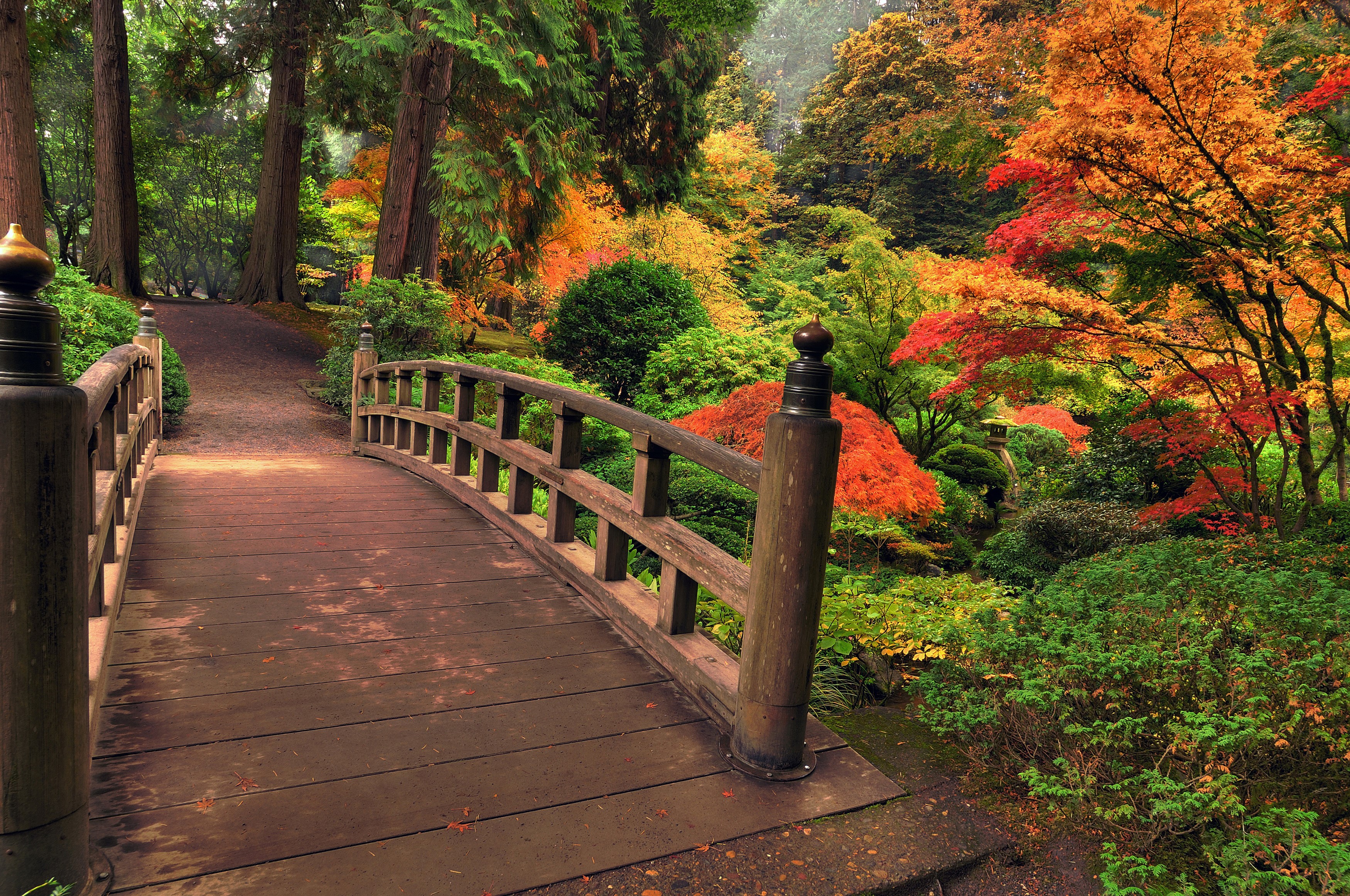 Gardens Bridges Shrubs HD Wallpaper