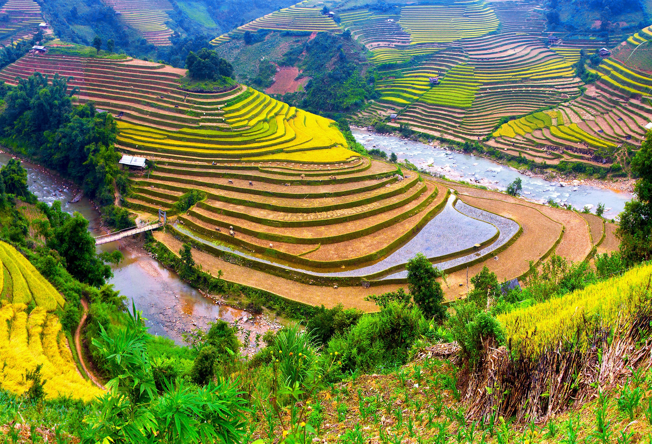 Terraced rice fields and river in a valley HD Wallpaper