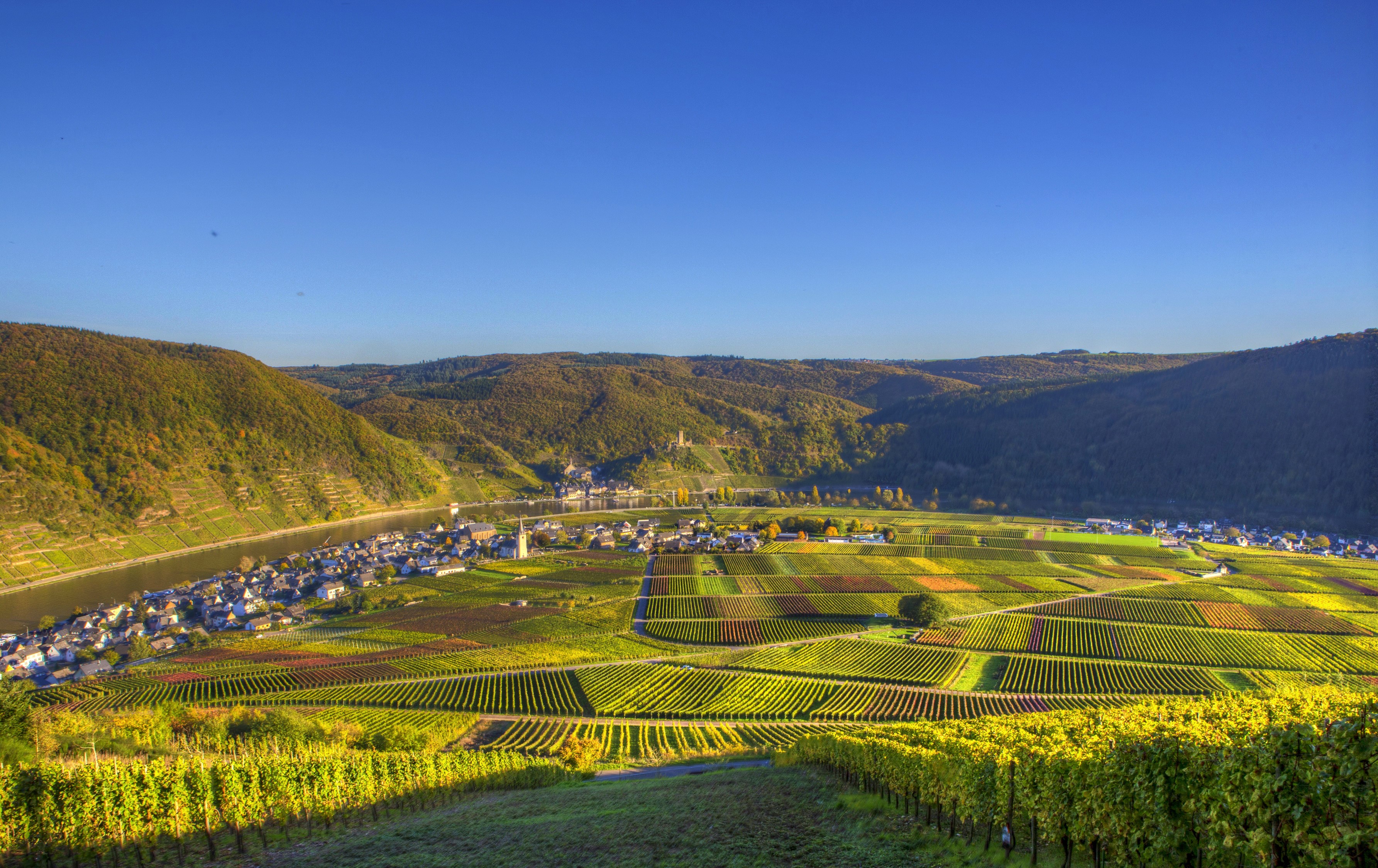 Vineyards and village along a river in Ellenz HD Wallpaper