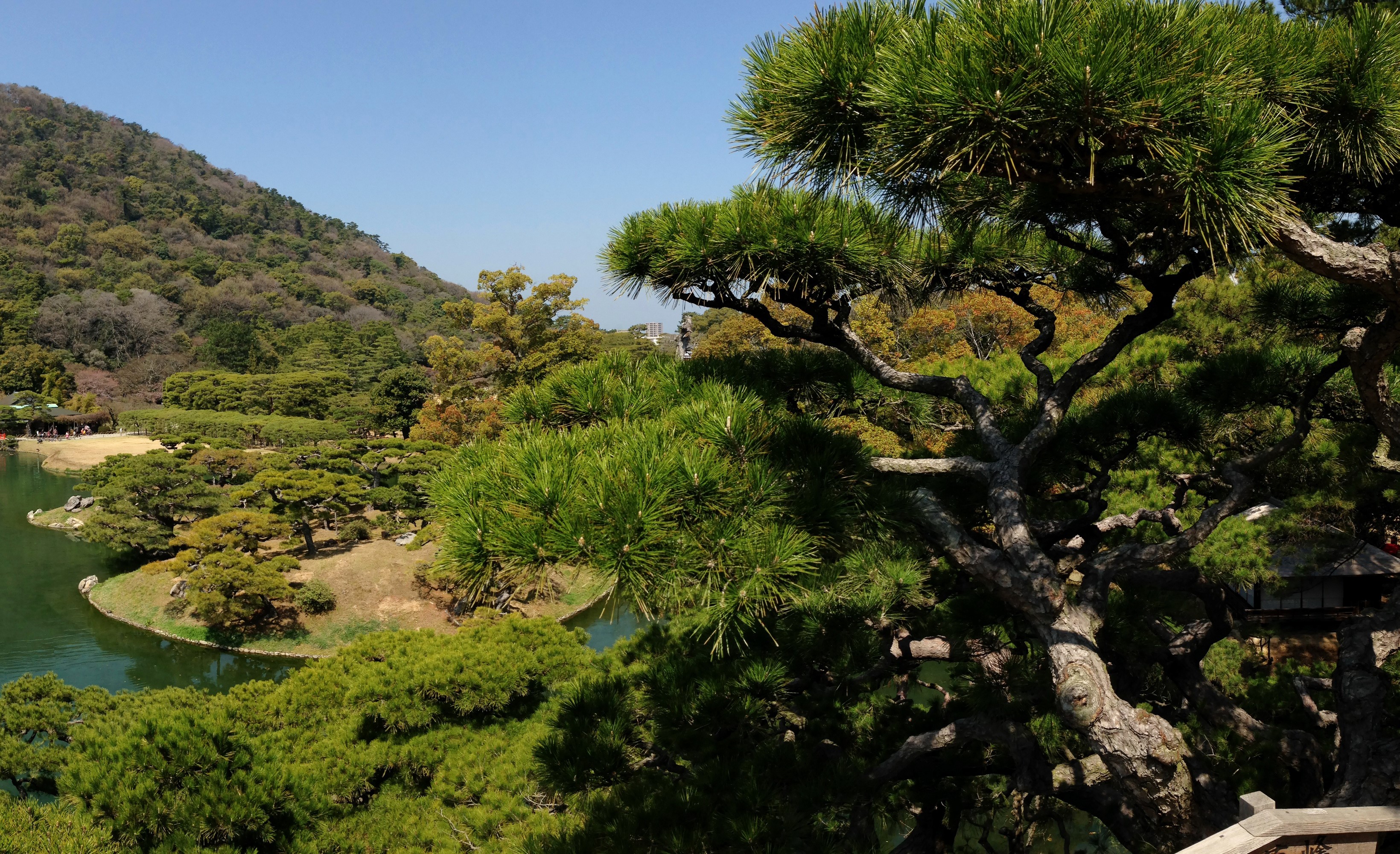 Ritsurin Garden in Takamatsu, Japan with Pine Trees and Pond HD Wallpaper