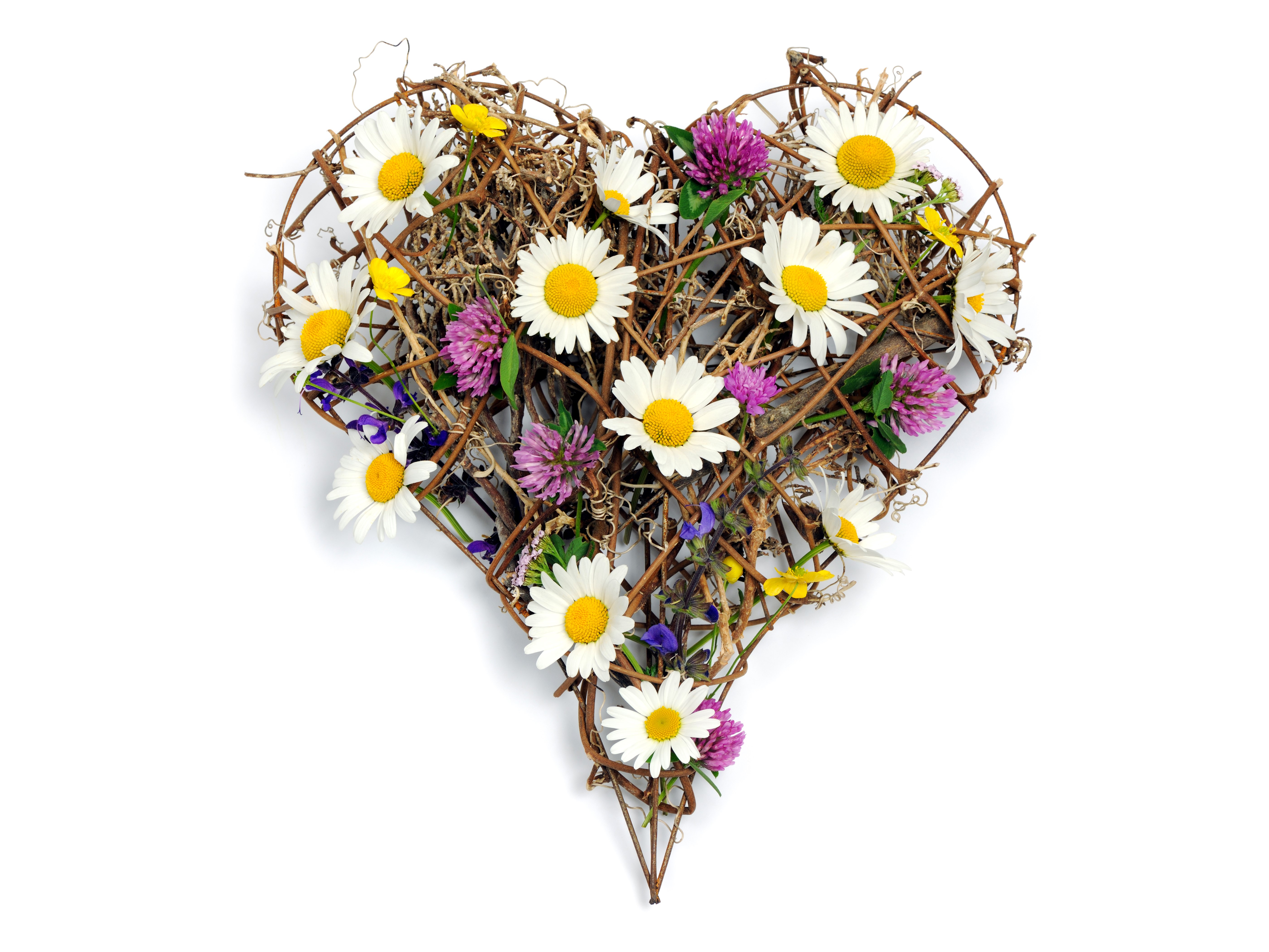 Heart shape wreath with daisies and clover HD Wallpaper