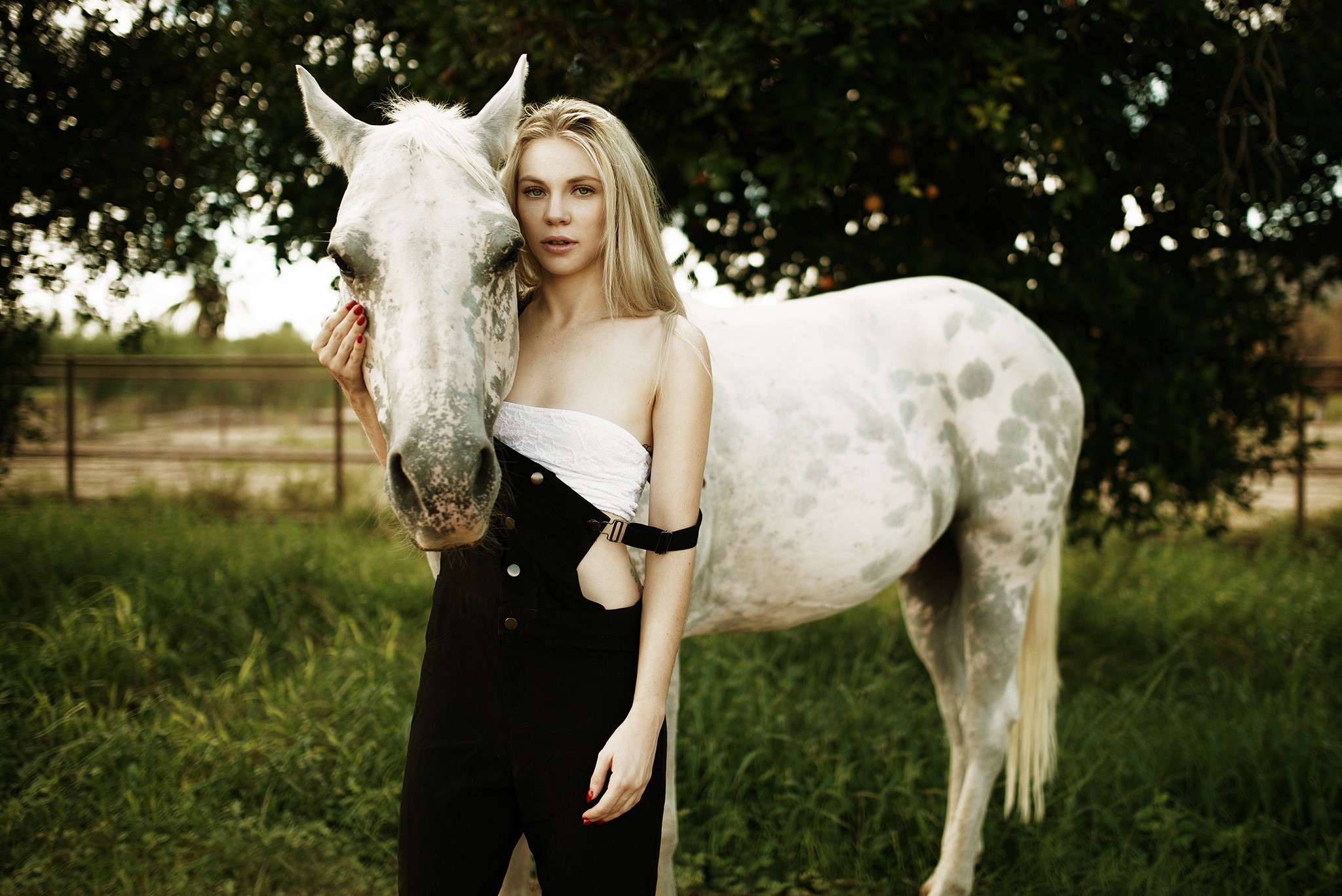 Horses Blonde girl HD Wallpaper
