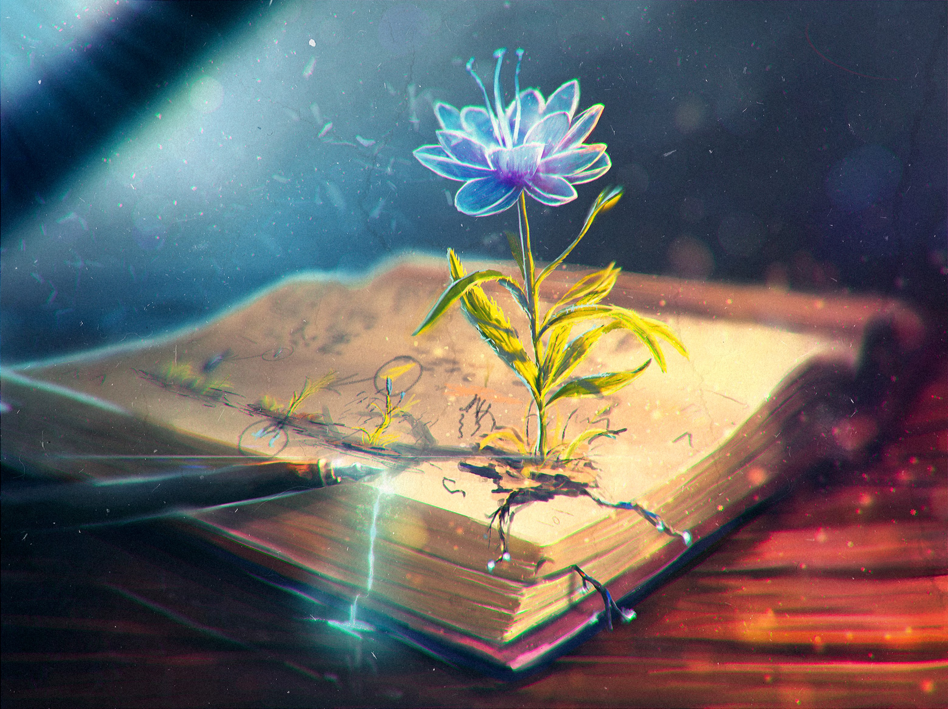 Glowing flower growing from an open book HD Wallpaper