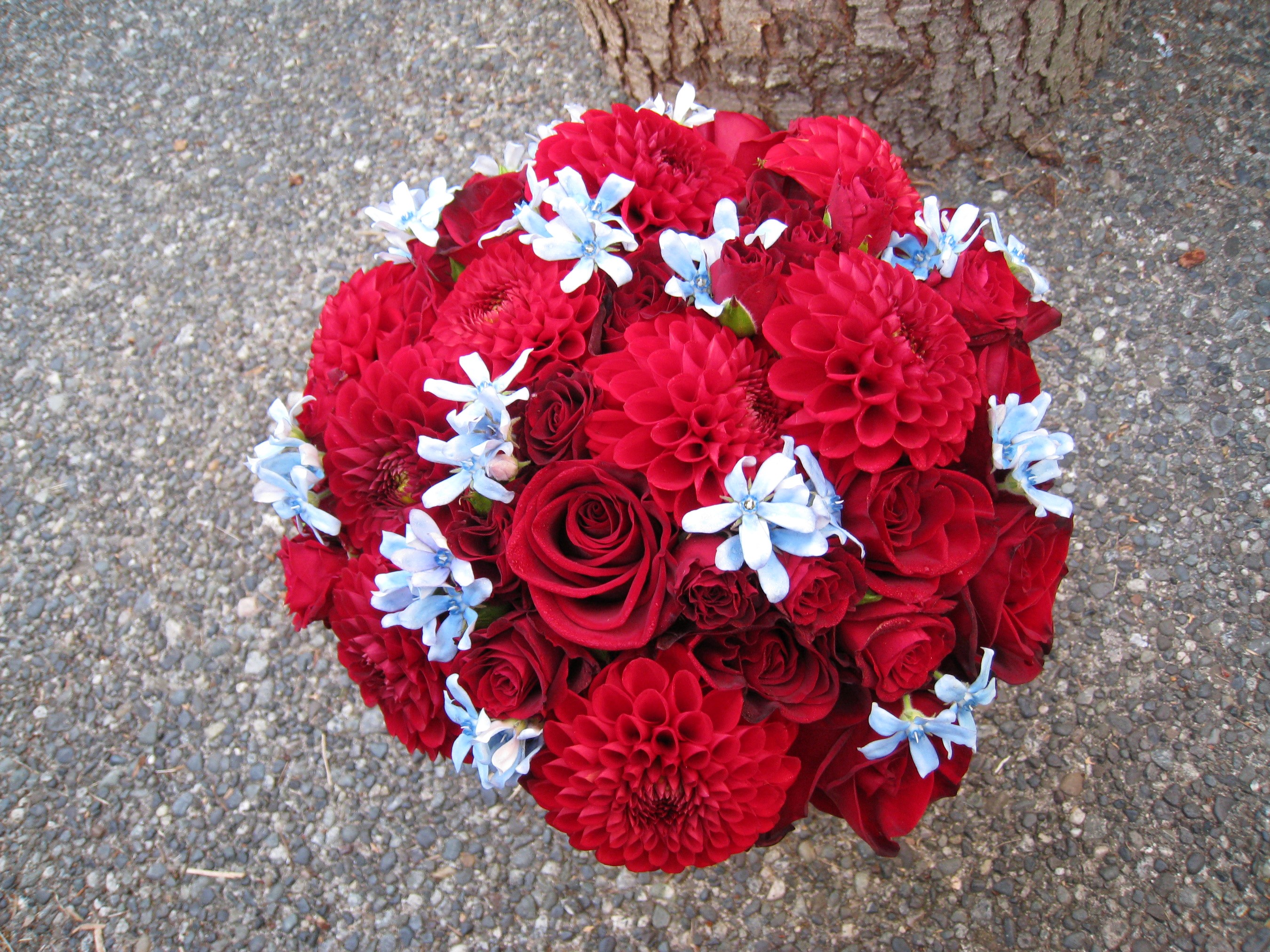 Red roses and dahlias bouquet with blue flowers HD Wallpaper