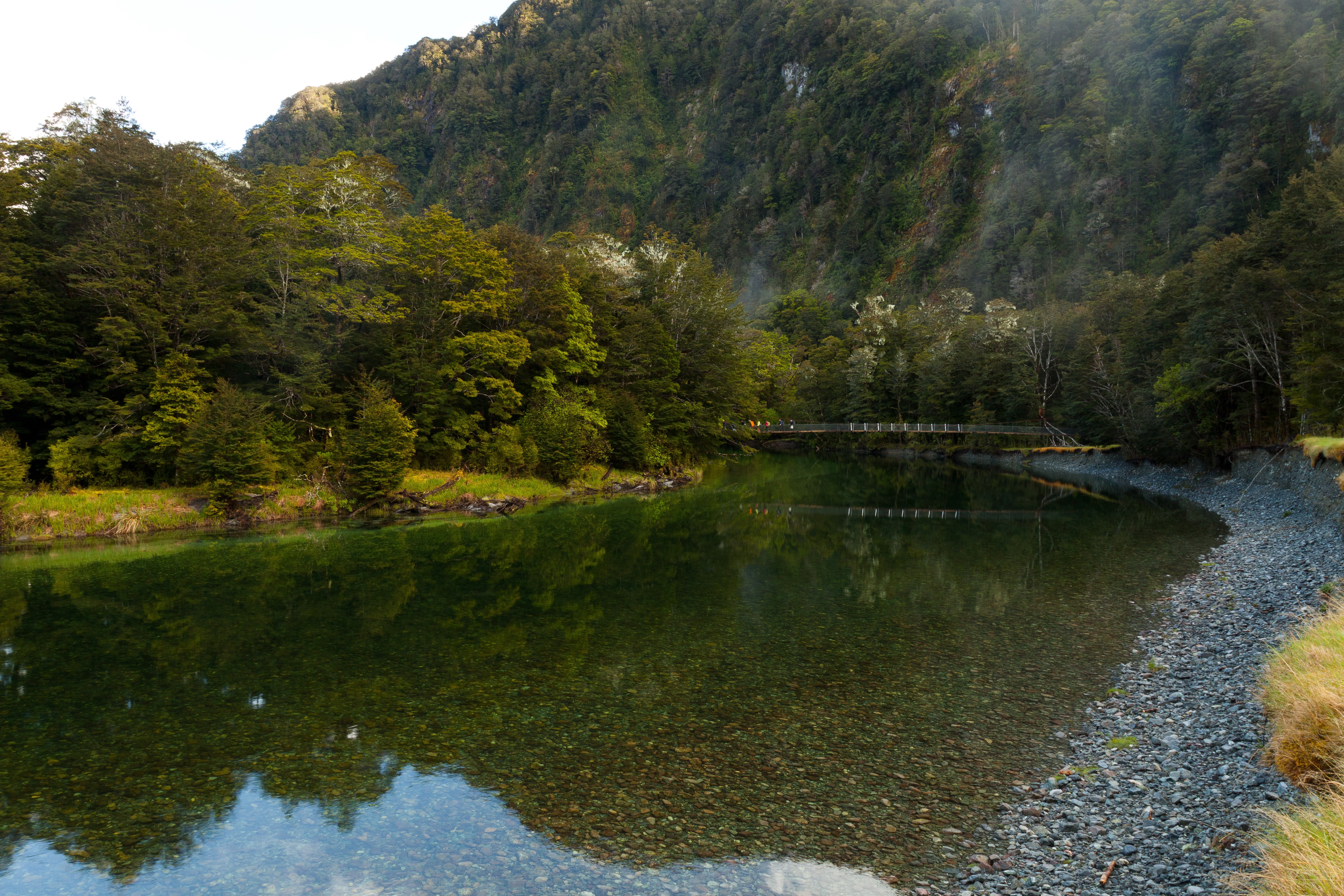 Clinton River, Fiordland National Park, New Zealand HD Wallpaper