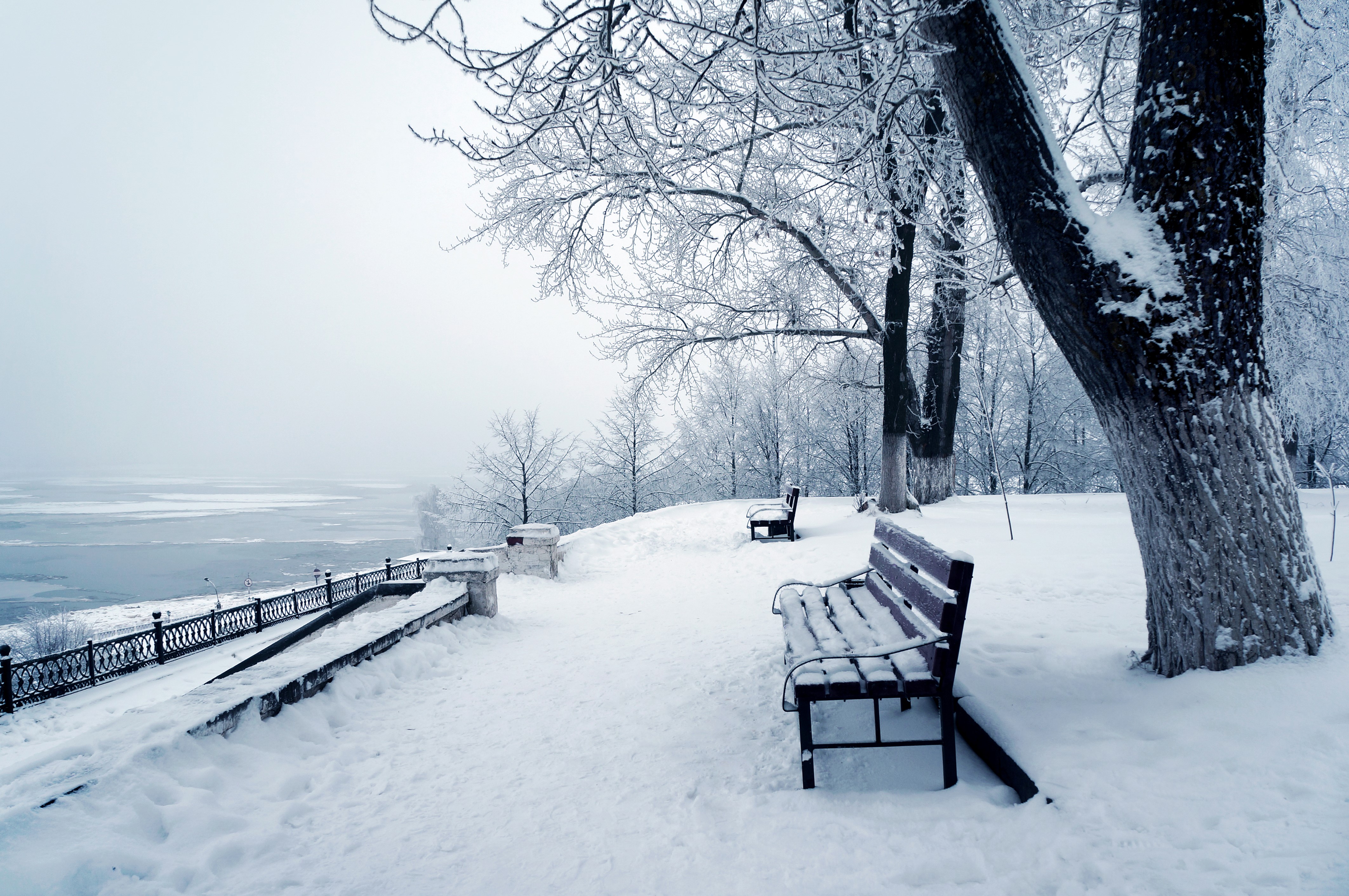Winter park with snow-covered benches and trees HD Wallpaper
