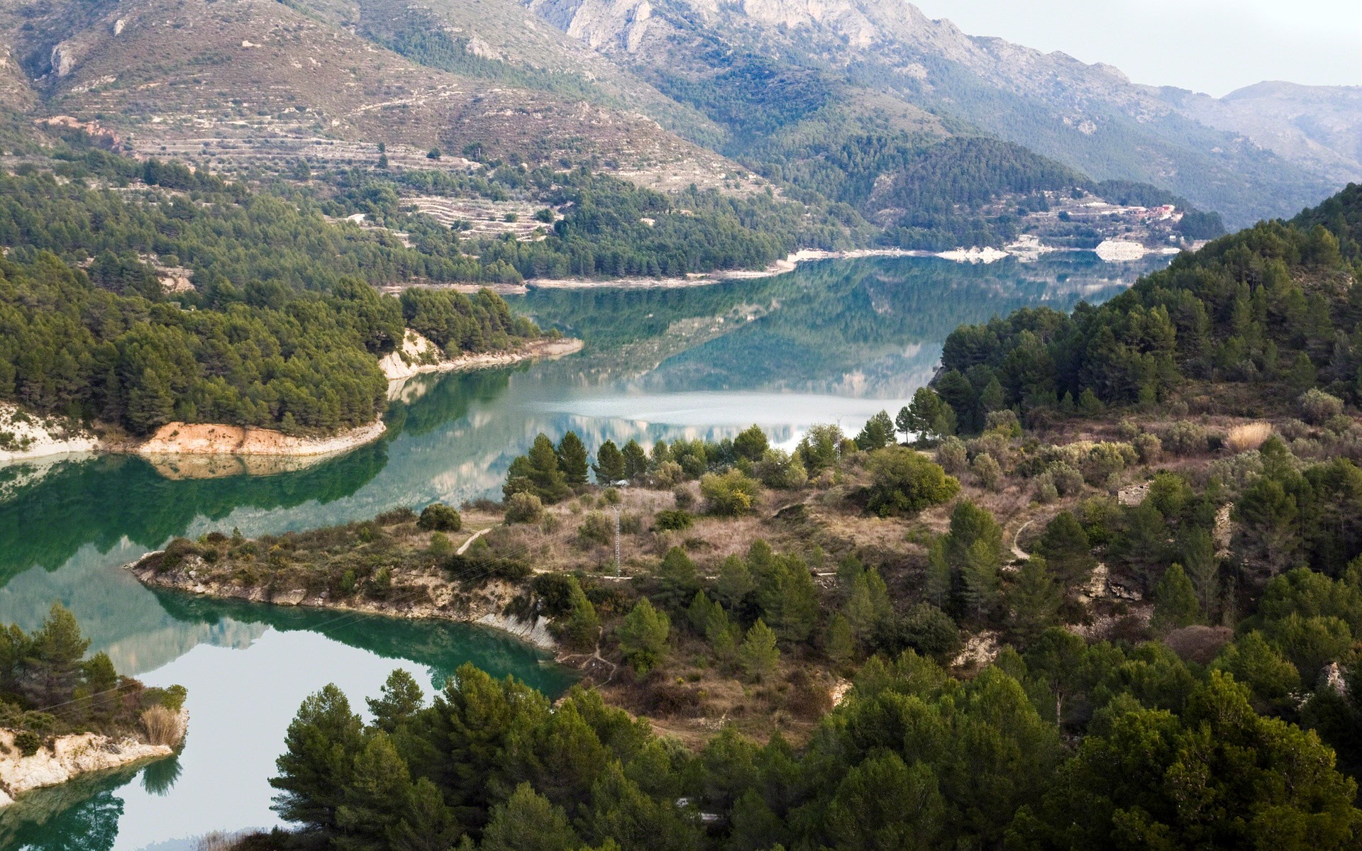 Reservoir surrounded by pine trees and mountains HD Wallpaper