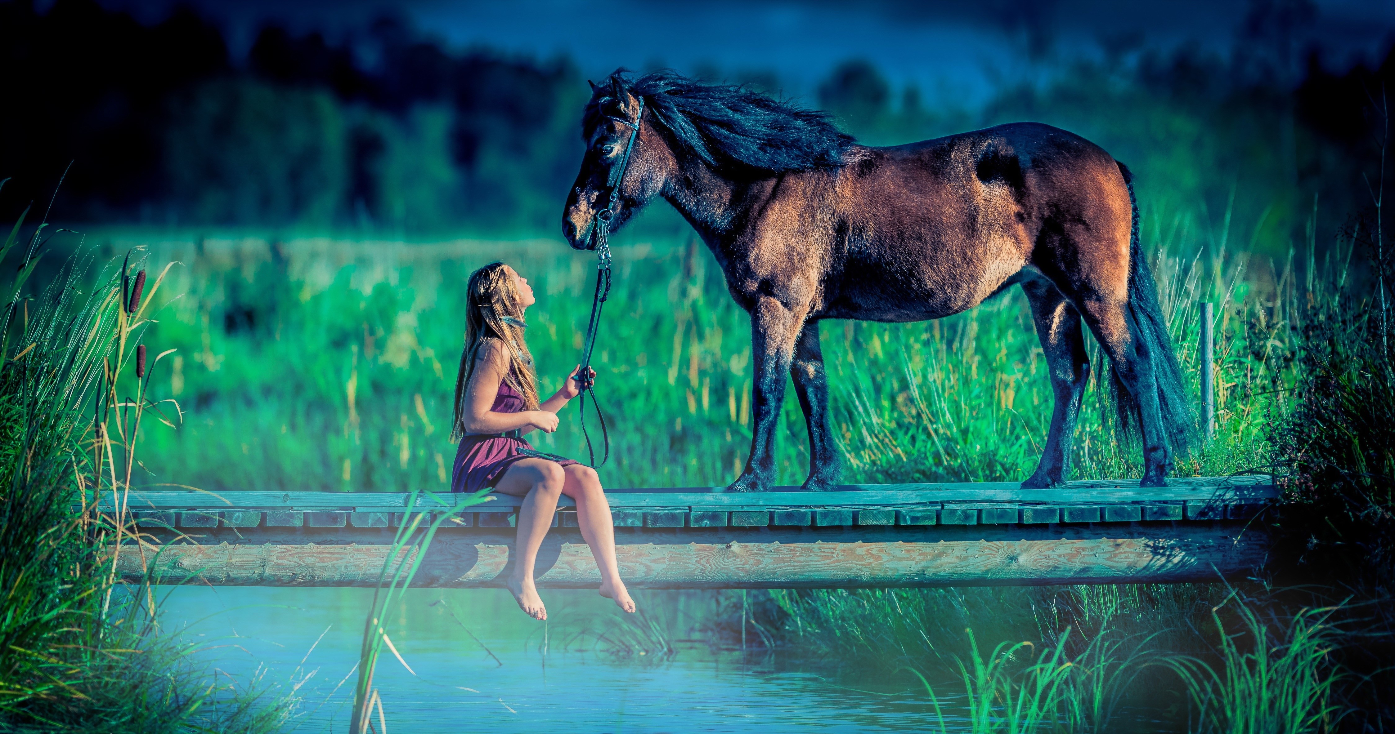Girl and horse on a bridge HD Wallpaper
