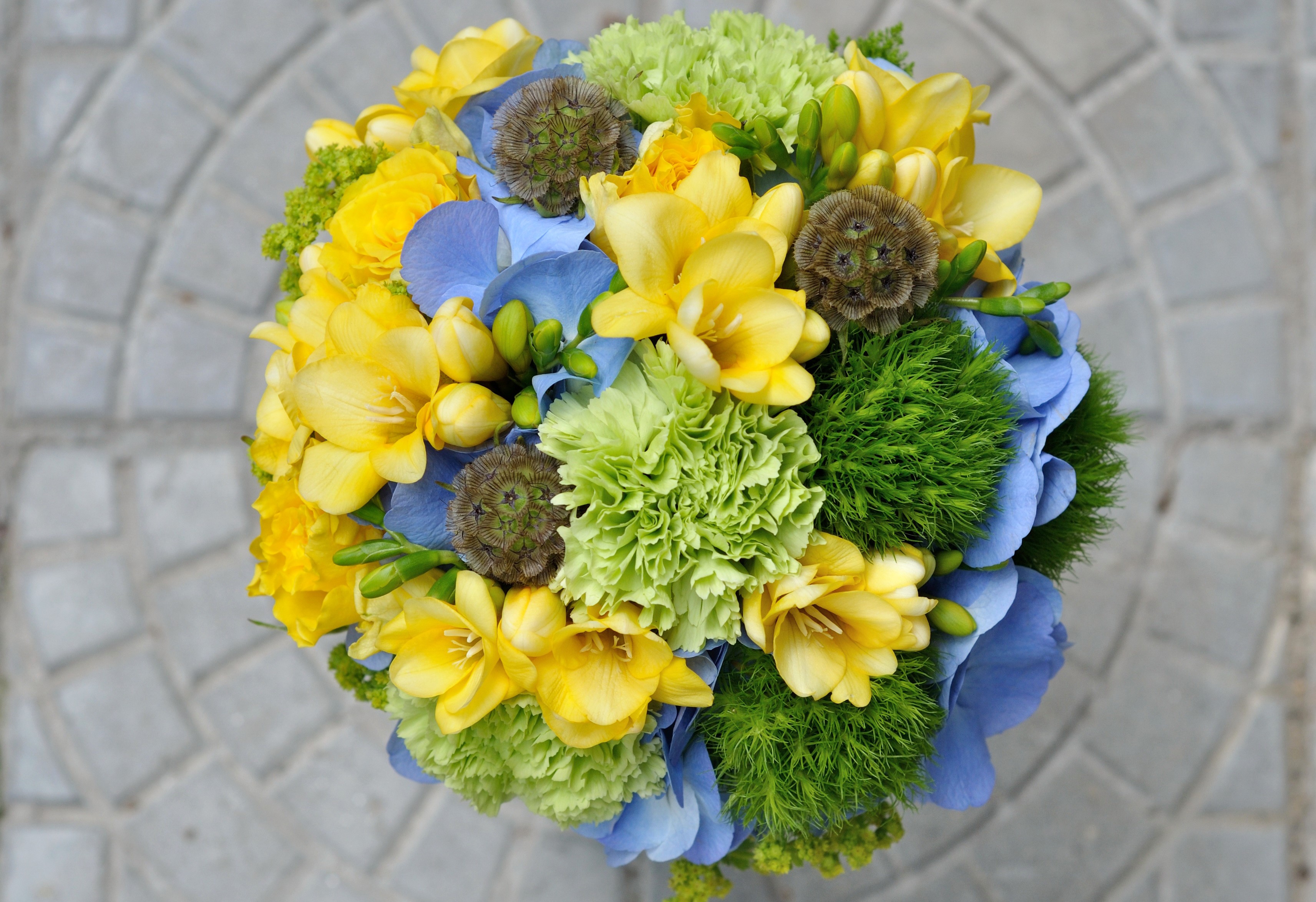 Bouquet of yellow freesia, blue hydrangea, and green carnations HD Wallpaper