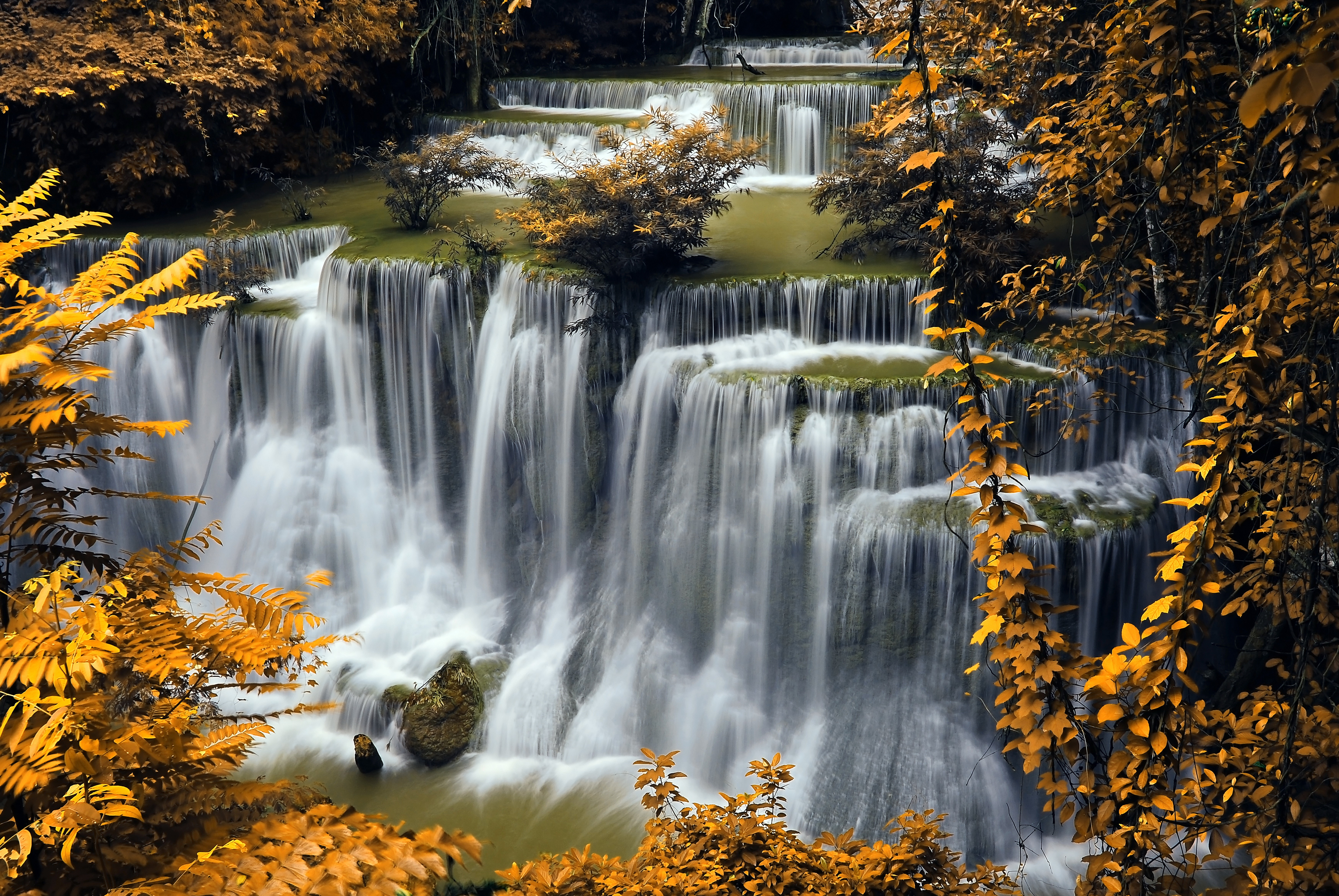 Autumn Waterfalls in Golden Foliage HD Wallpaper