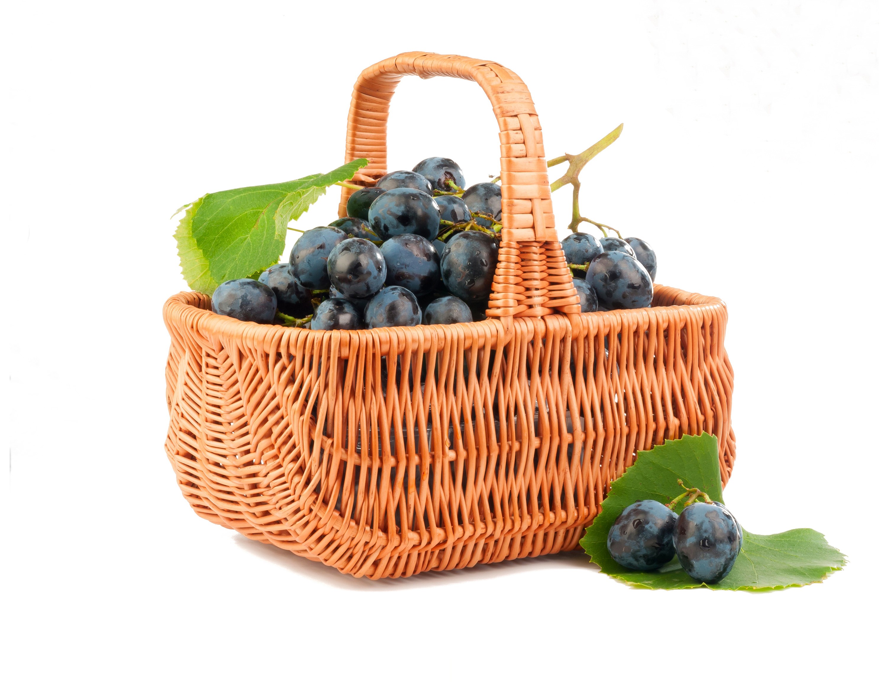 Wicker basket full of dark grapes with leaves HD Wallpaper