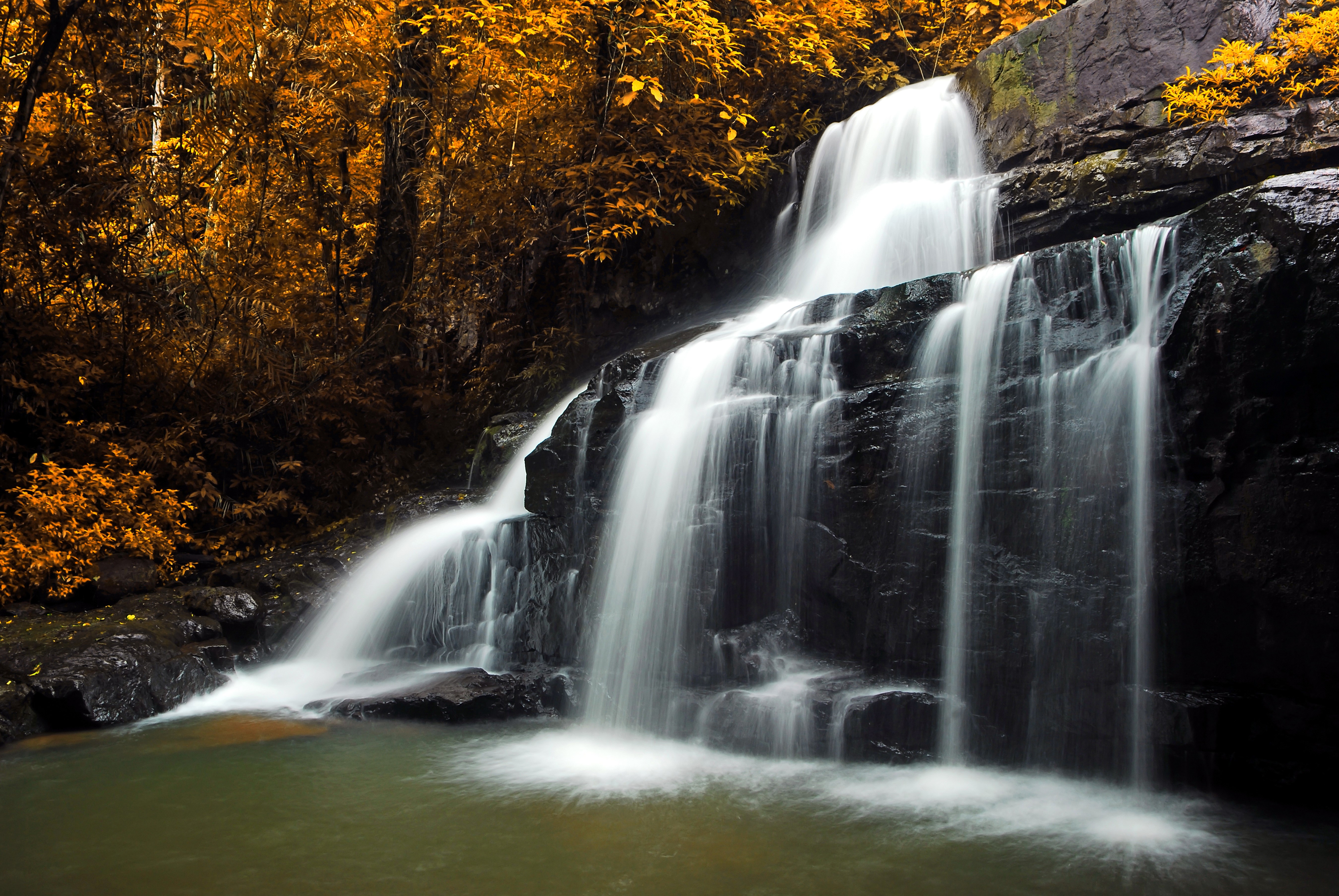 Waterfall in Autumn Forest HD Wallpaper