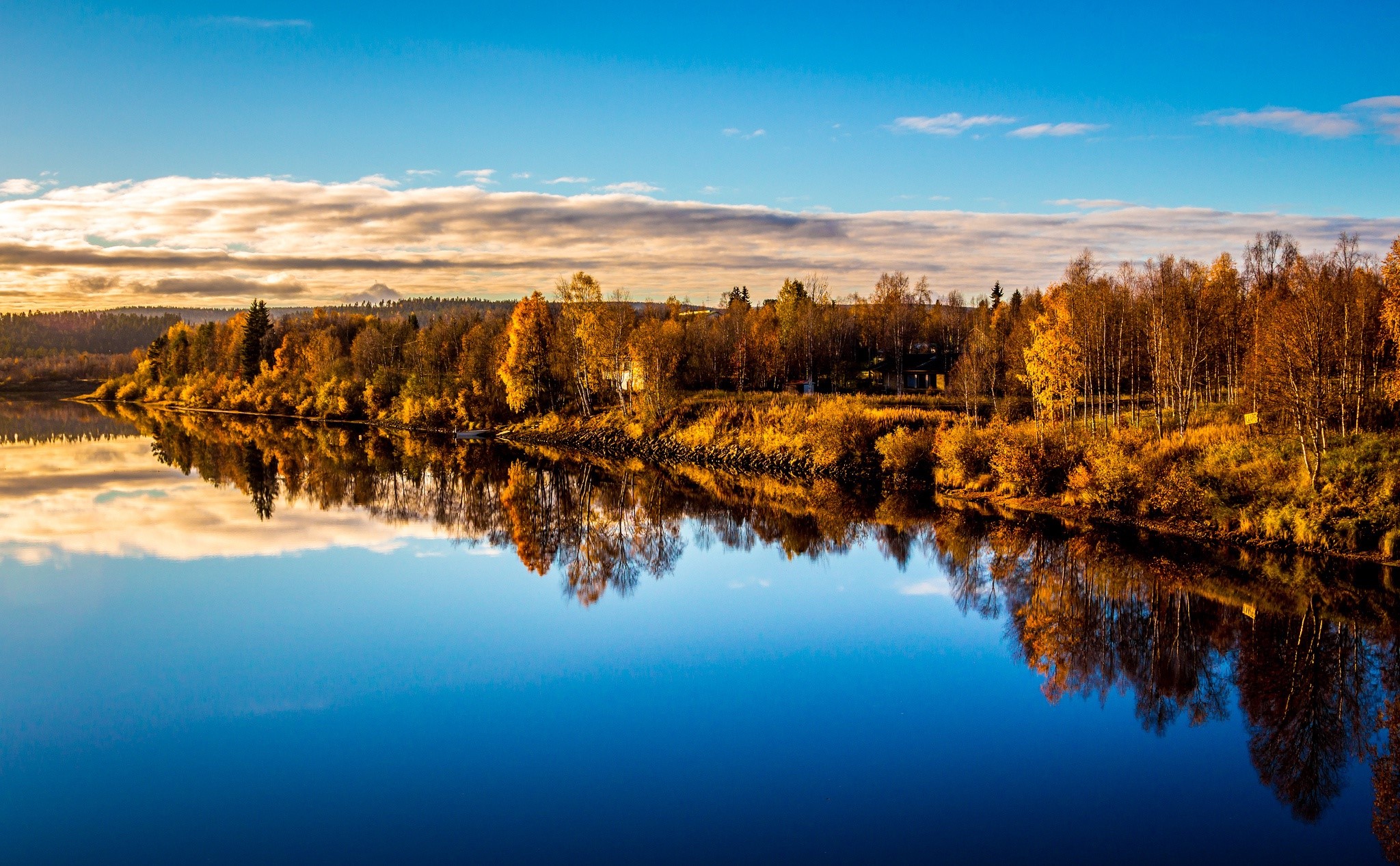 Autumn trees reflecting in a calm river at sunset HD Wallpaper