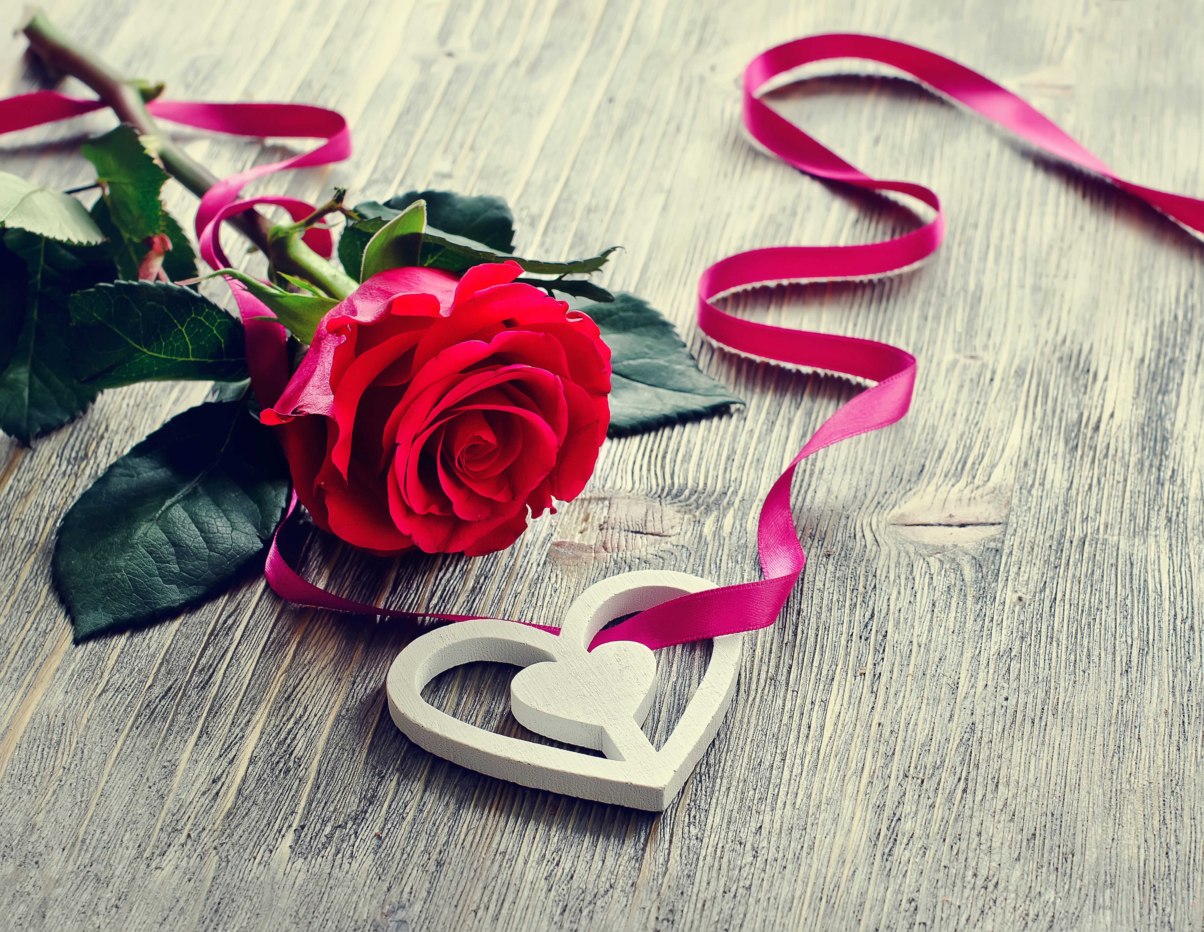 Red Rose with Ribbon and Heart Decoration HD Wallpaper