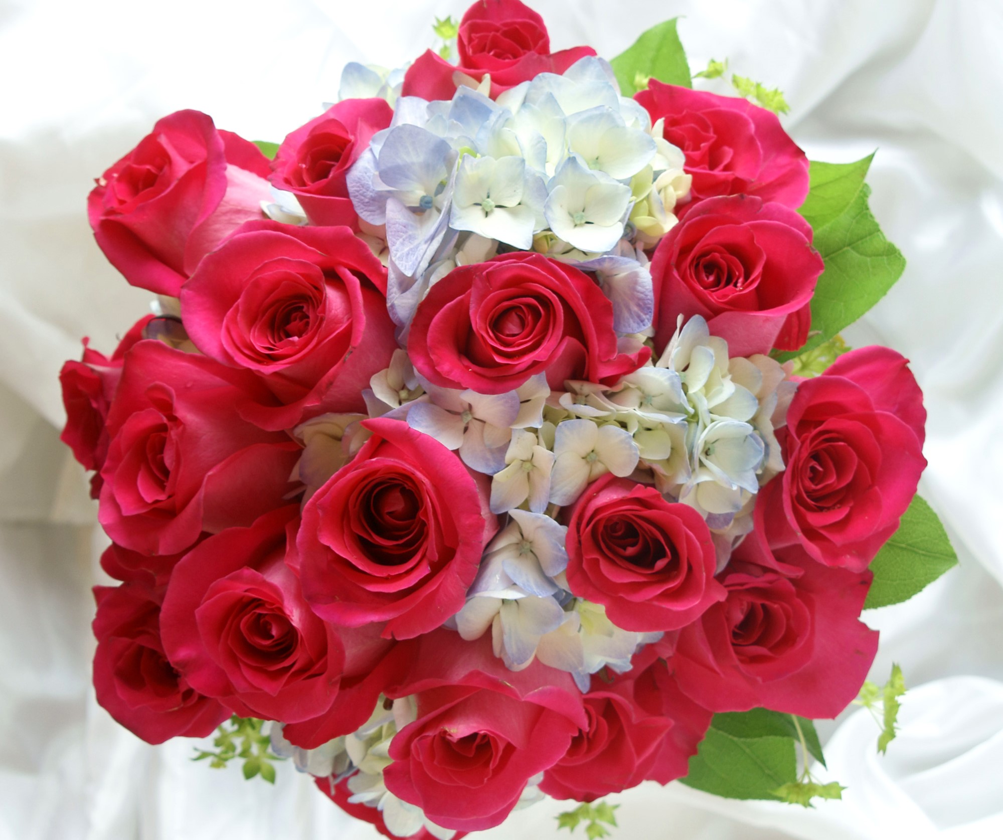 Bouquet of pink roses and blue hydrangeas HD Wallpaper