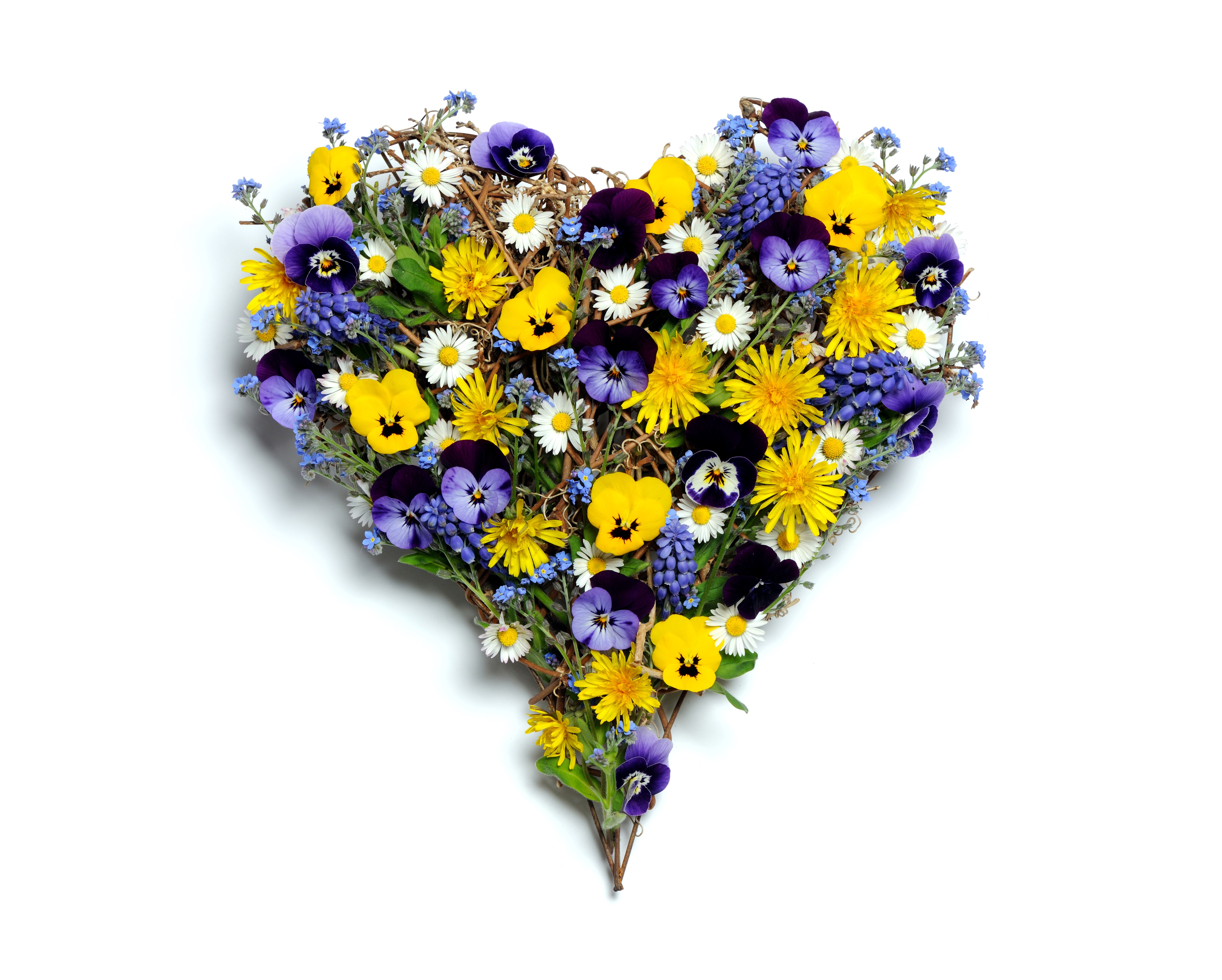 Heart shape floral arrangement with pansies and daisies HD Wallpaper