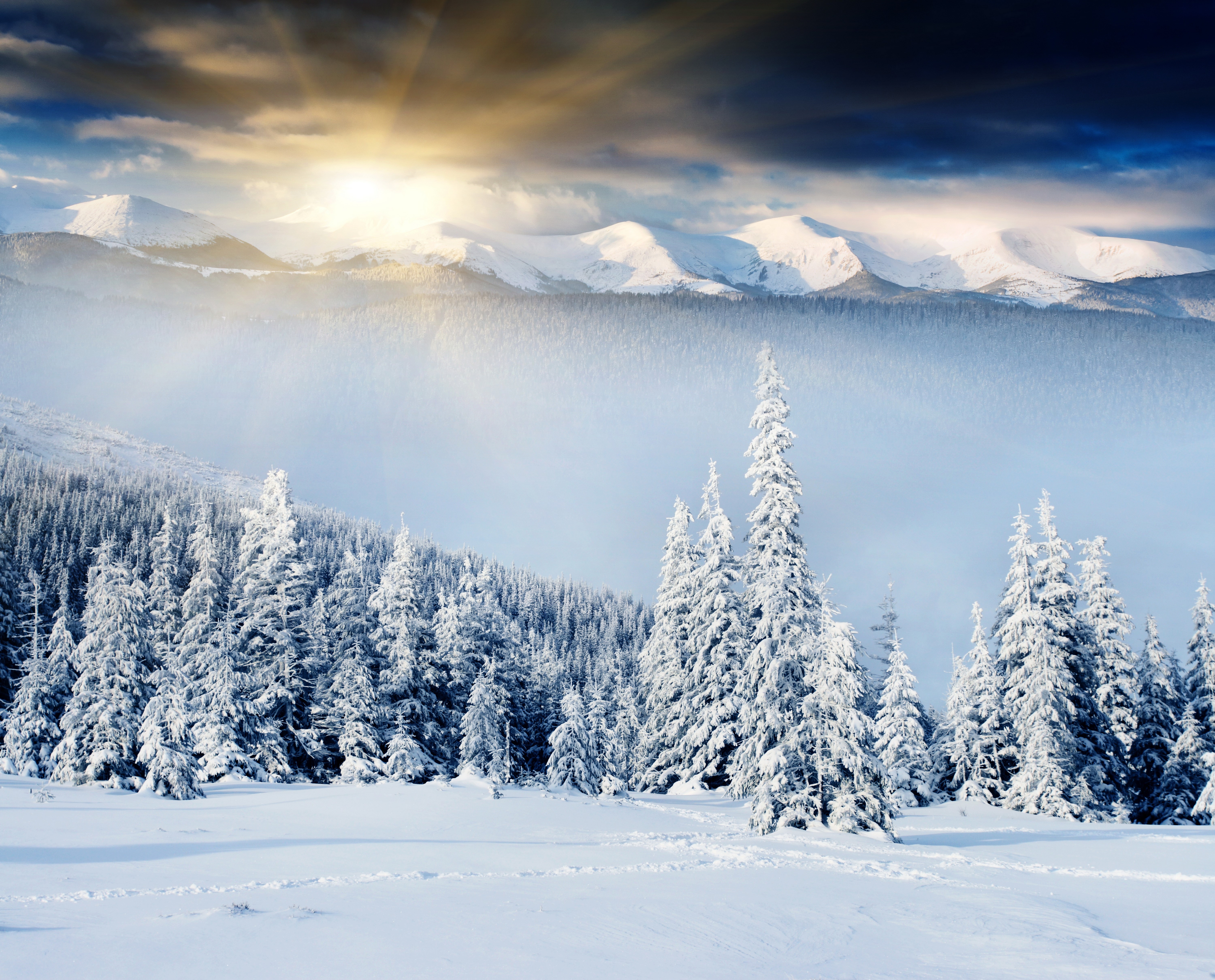Winter Mountains with Snow-Covered Spruce Trees and Sun Rays HD Wallpaper