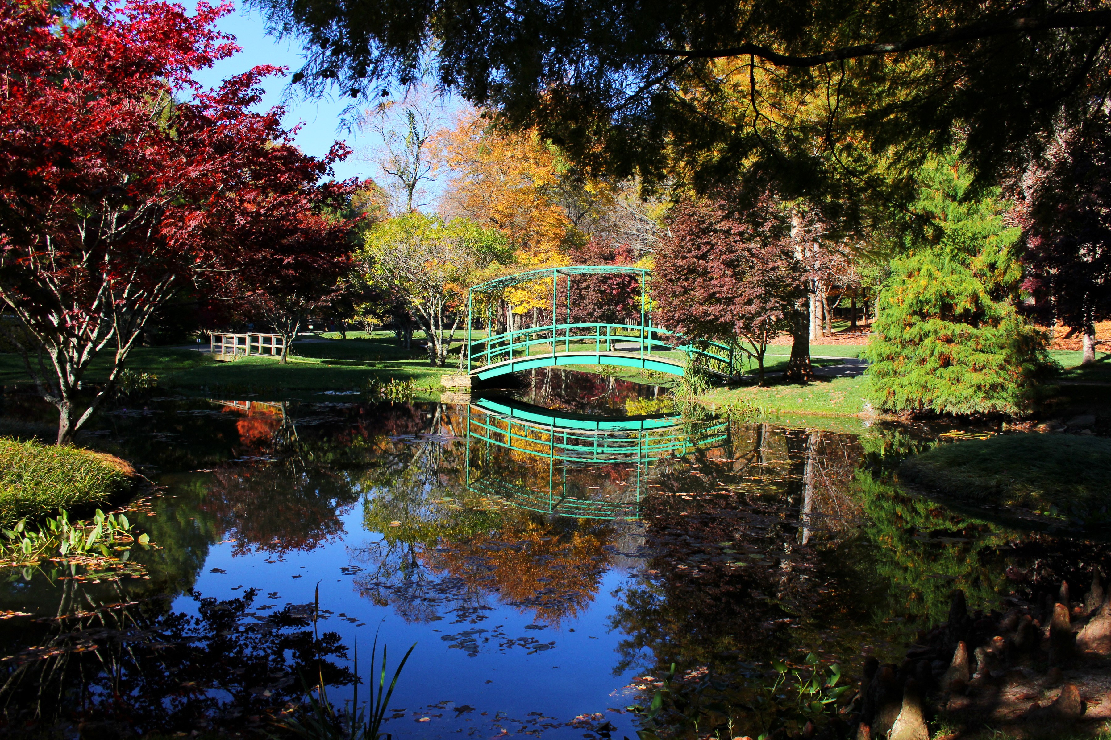 Green bridge over pond at Gibbs Gardens in Ball Ground, USA HD Wallpaper