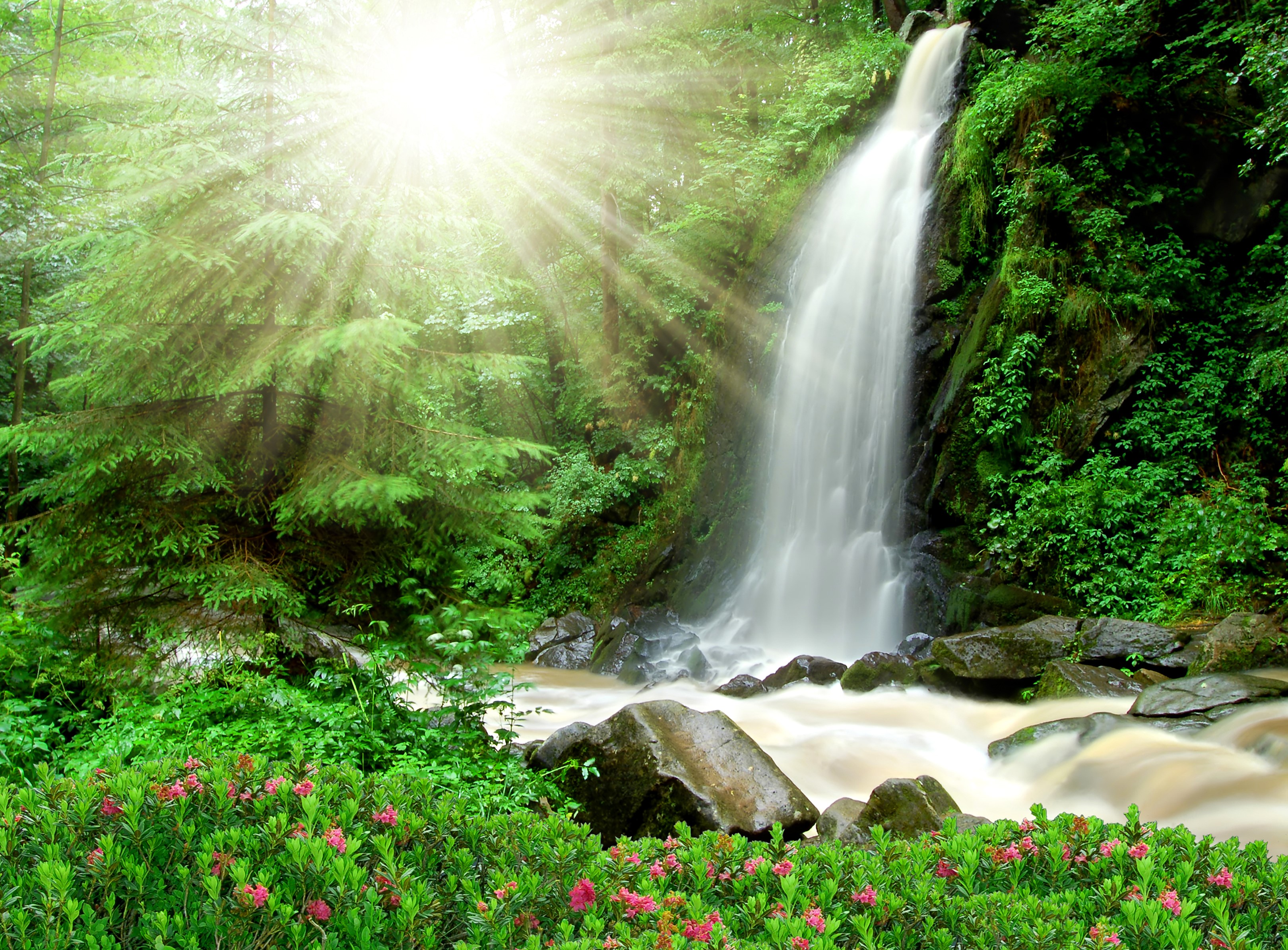 Waterfall with Sunbeams in a Forest HD Wallpaper