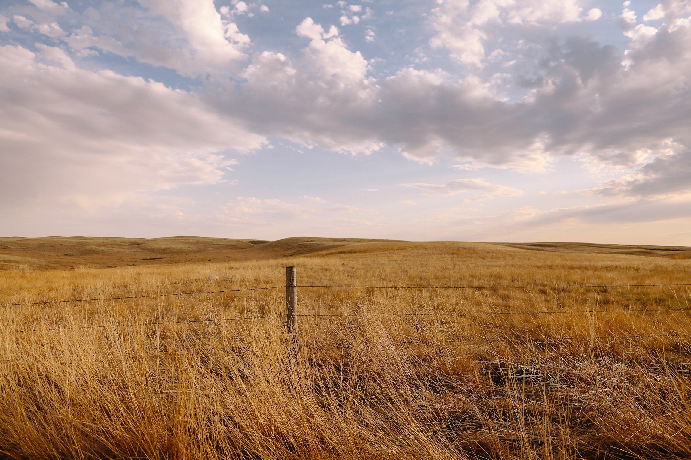 Golden Field with Fence and Cloudy Sky HD Wallpaper