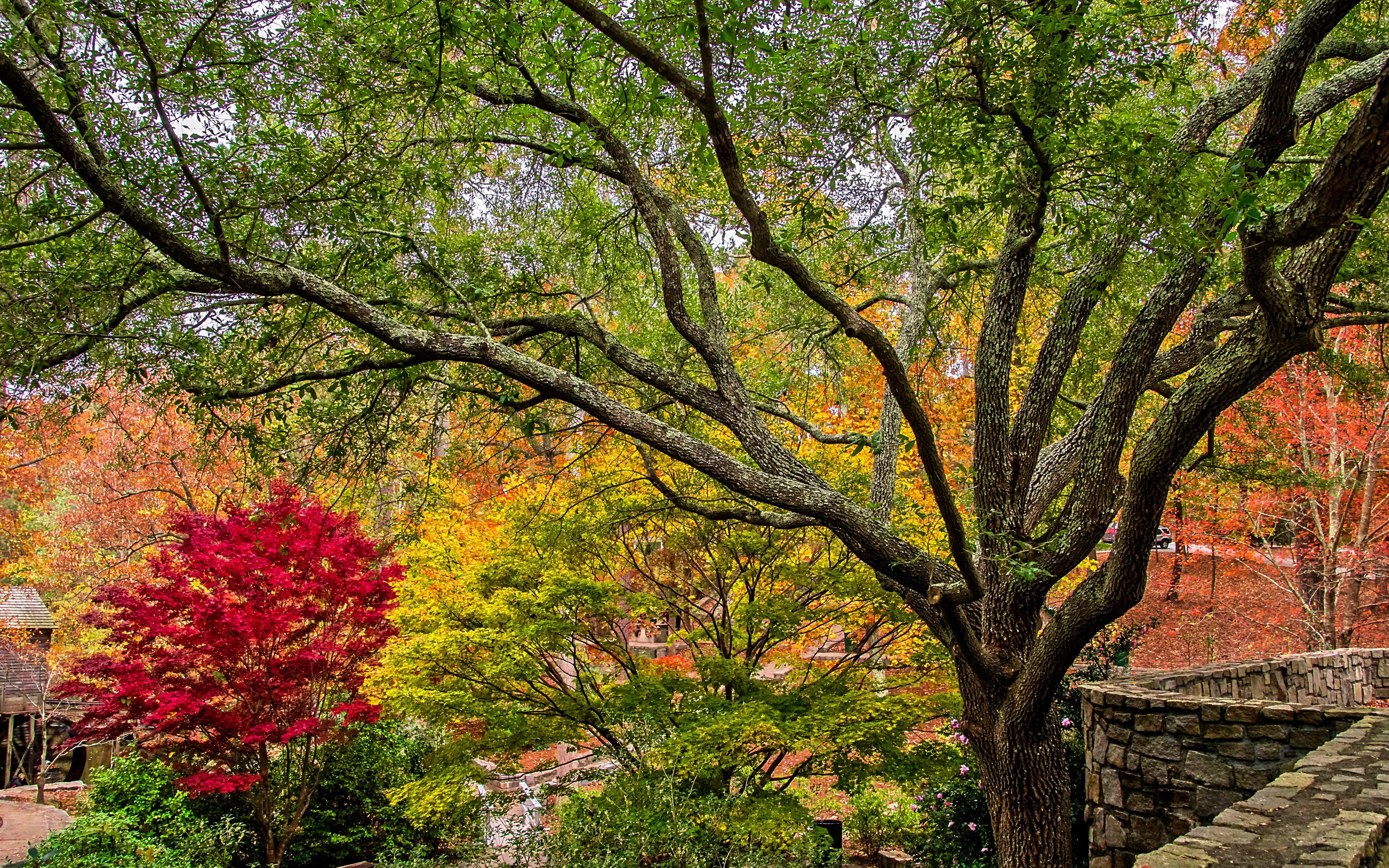 Stone Mountain Park in Autumn HD Wallpaper