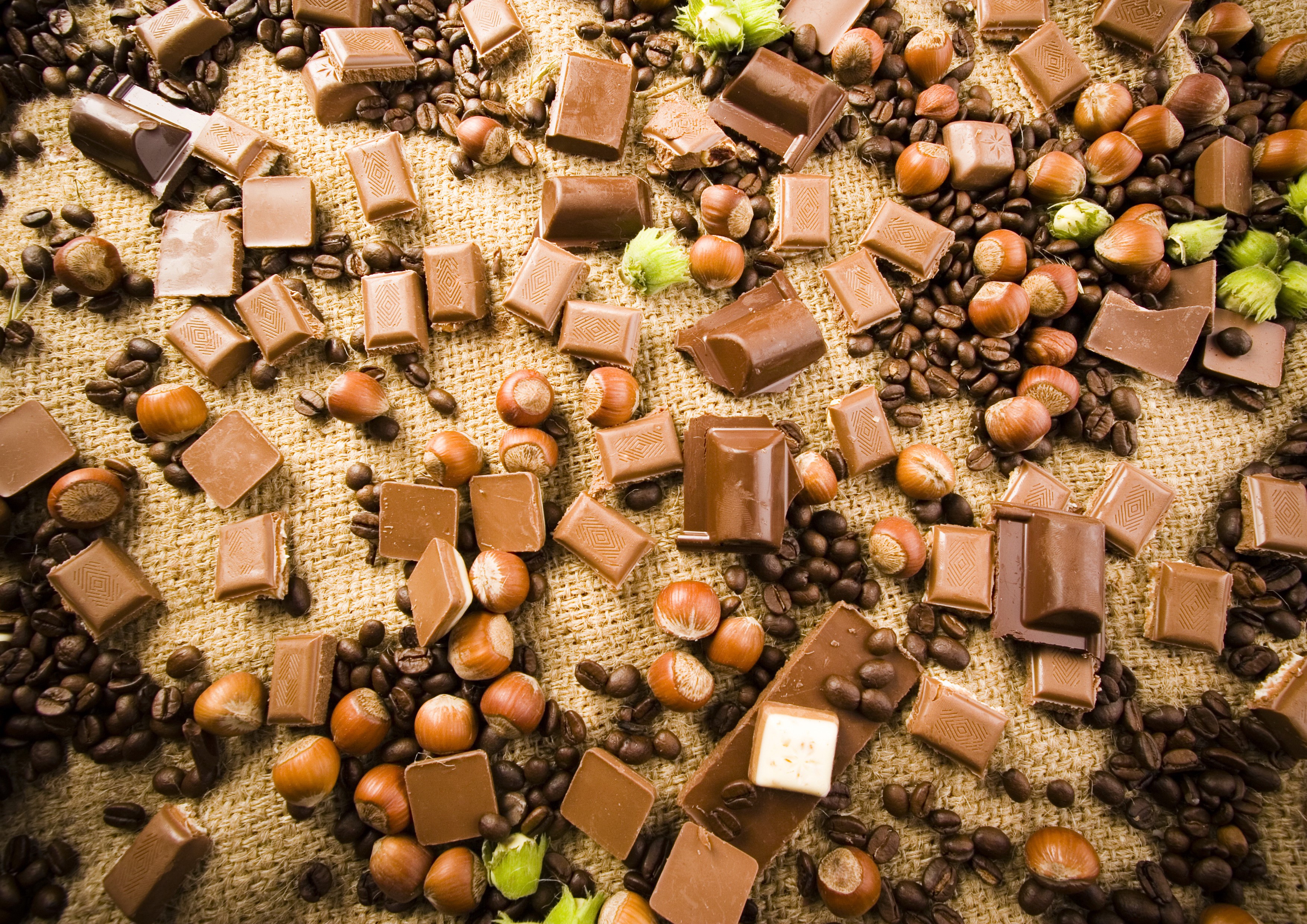 Chocolate pieces with hazelnuts and coffee beans HD Wallpaper