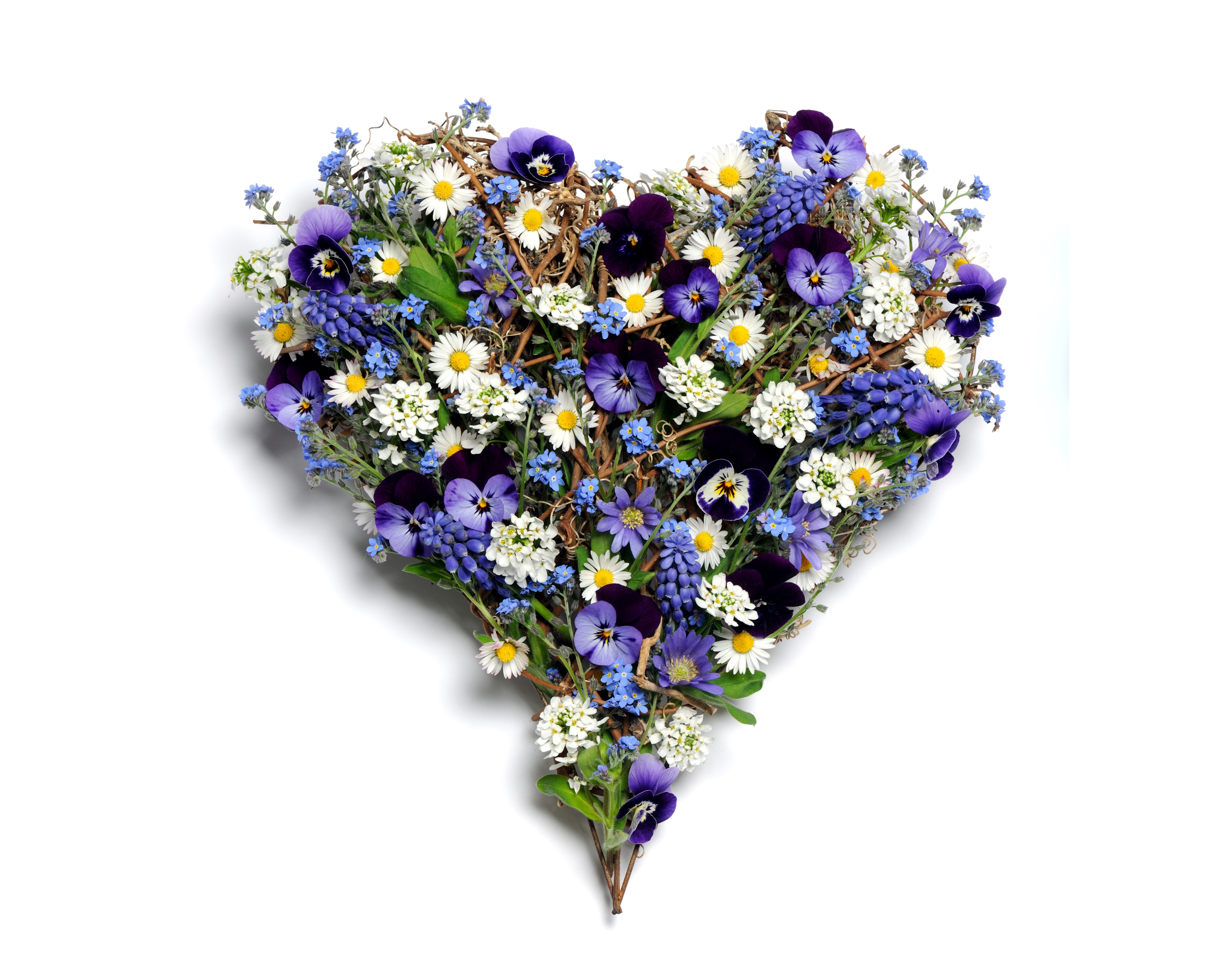 Heart-shaped floral arrangement with pansies and daisies HD Wallpaper