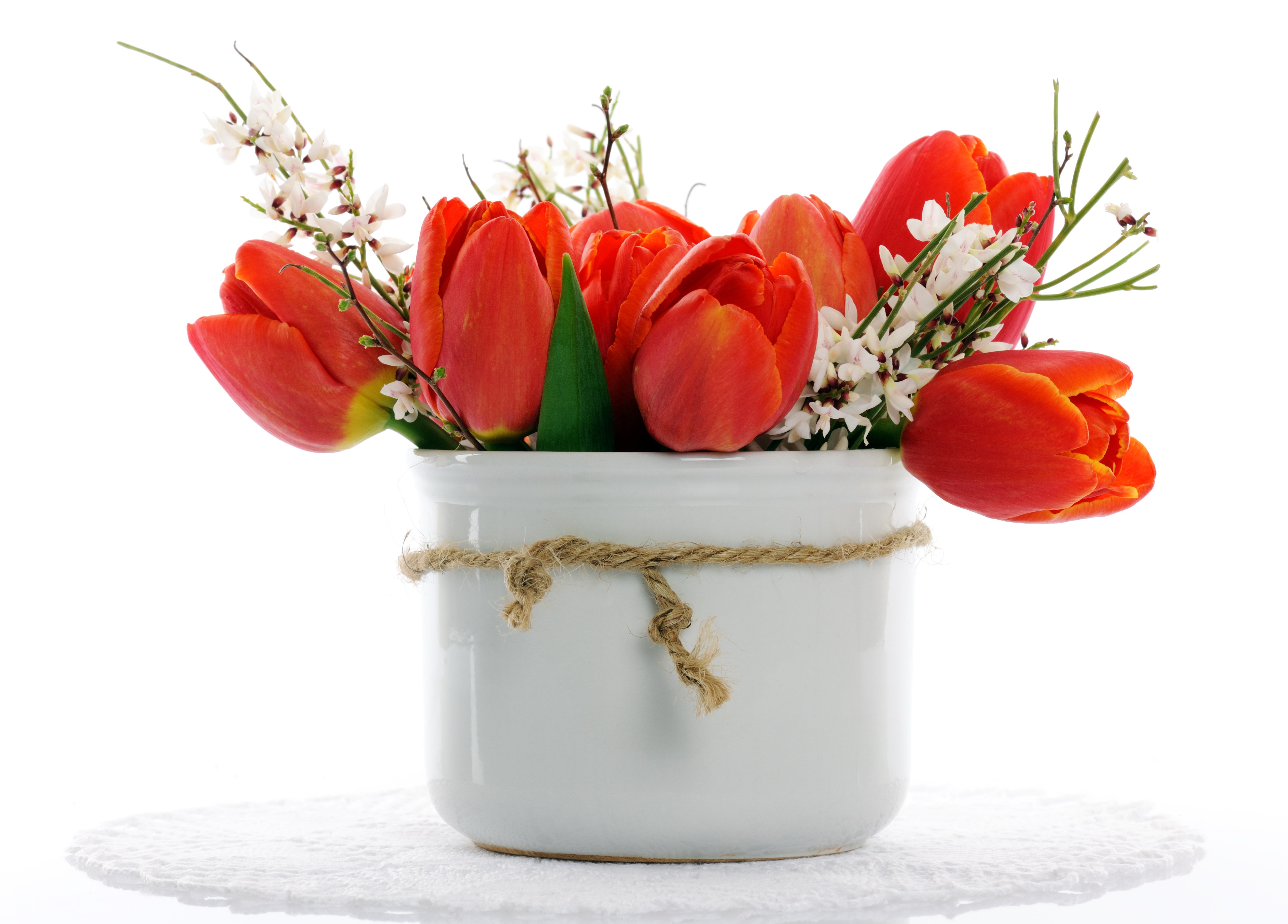 Red Tulips in a White Vase HD Wallpaper
