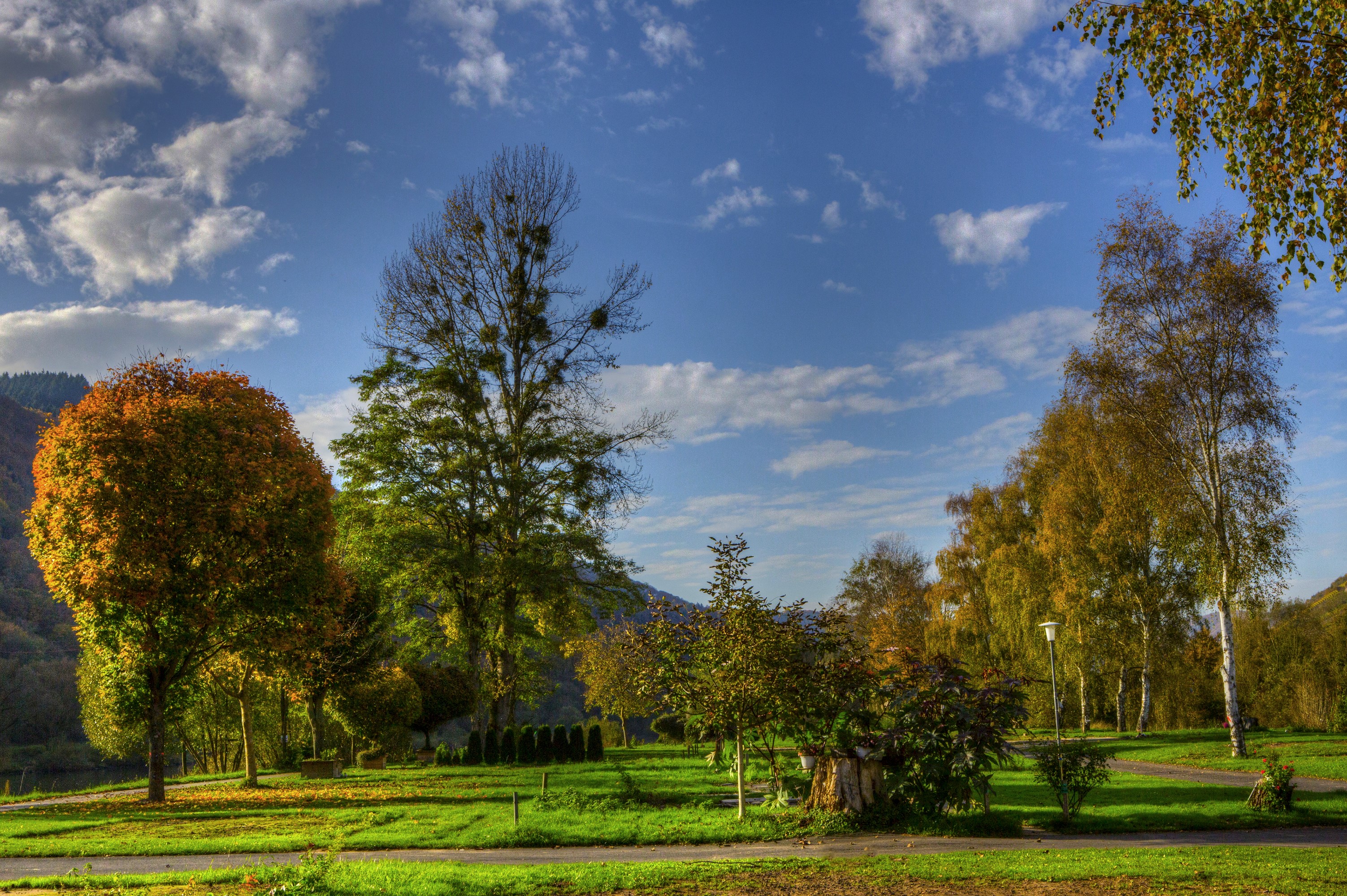 Park in Nehren, Germany with autumn trees and blue sky HD Wallpaper