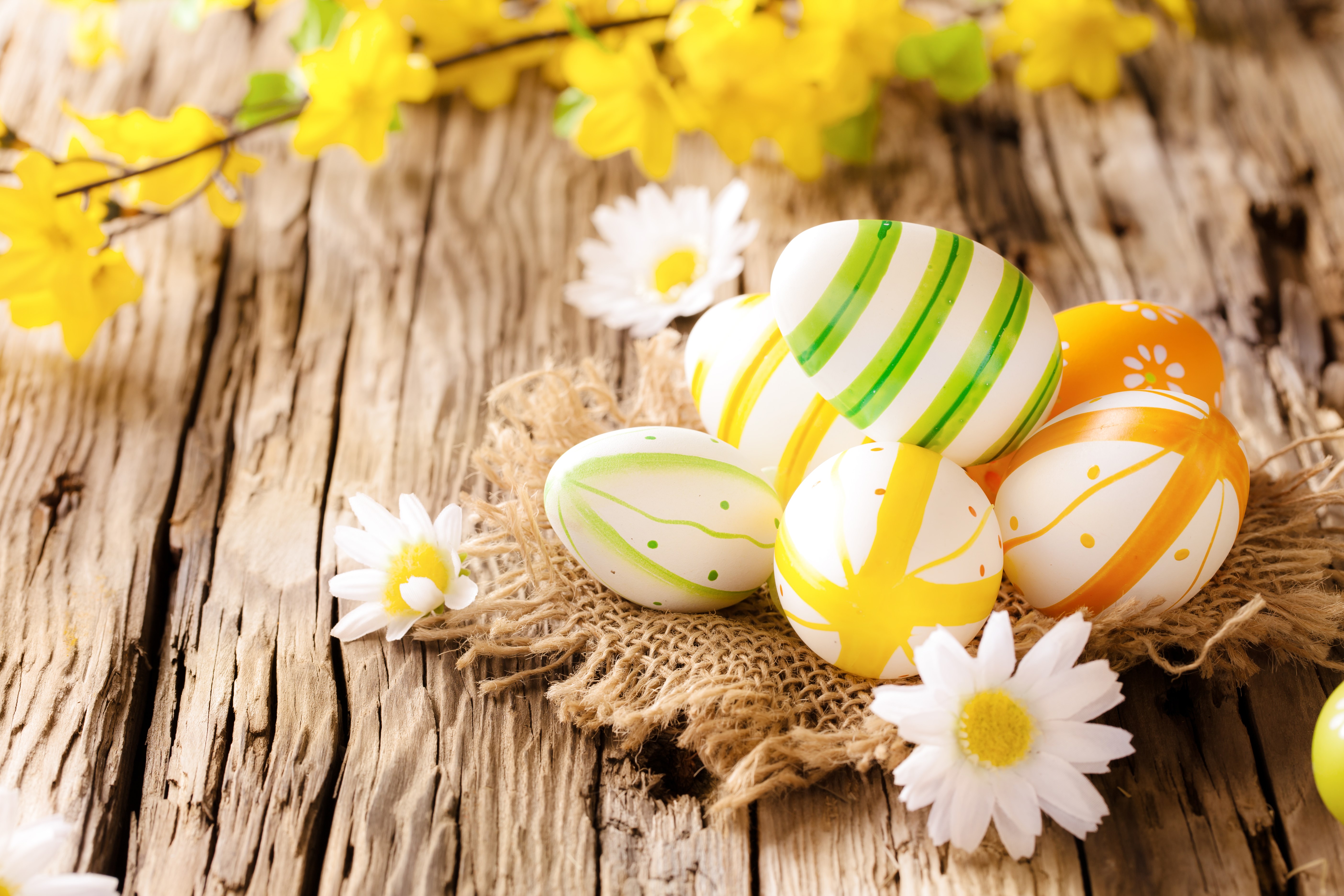 Easter Eggs with Yellow Flowers on Wood HD Wallpaper