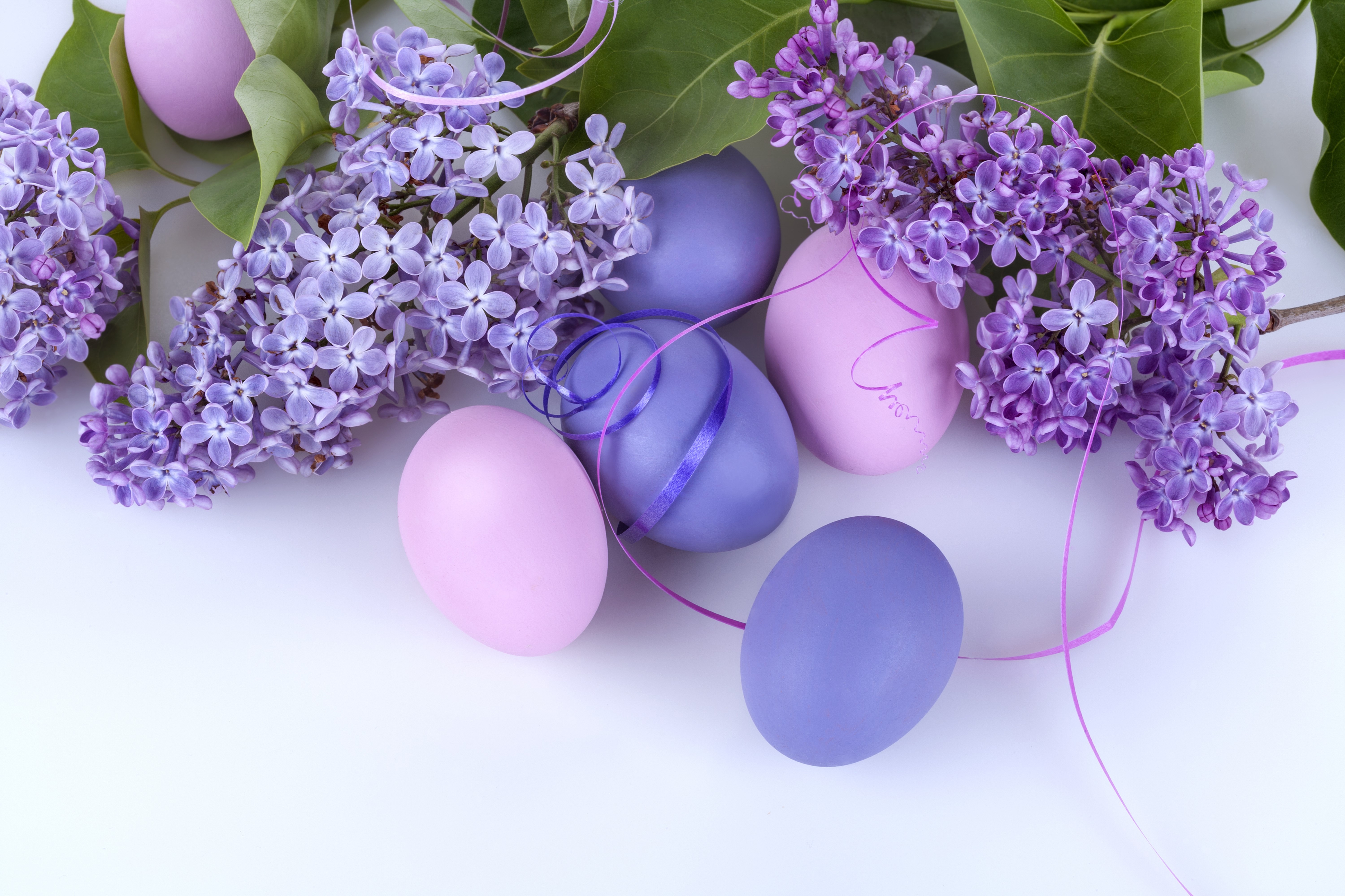 Easter Lilac and Eggs HD Wallpaper