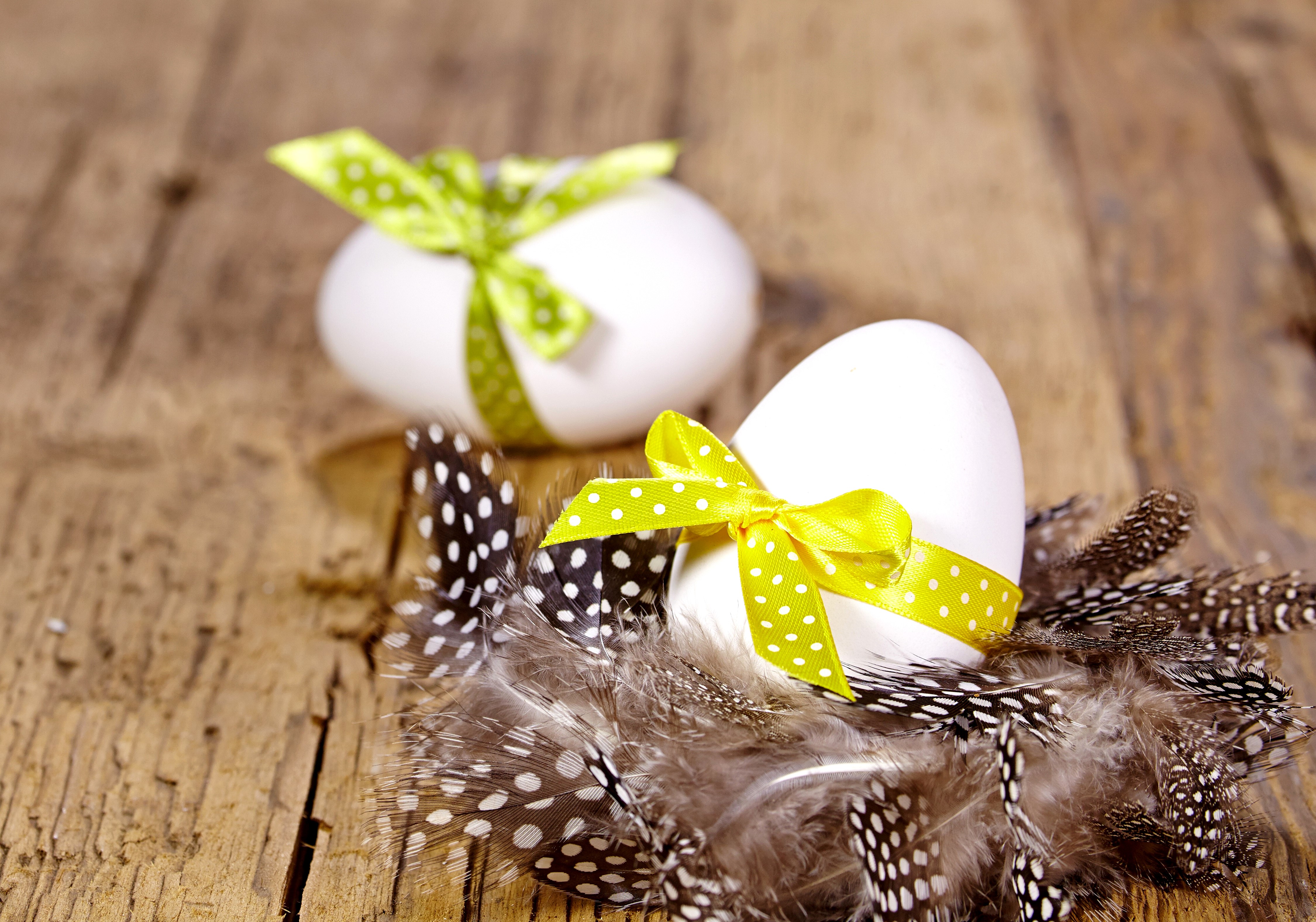 Easter Eggs with Feathers and Bows HD Wallpaper
