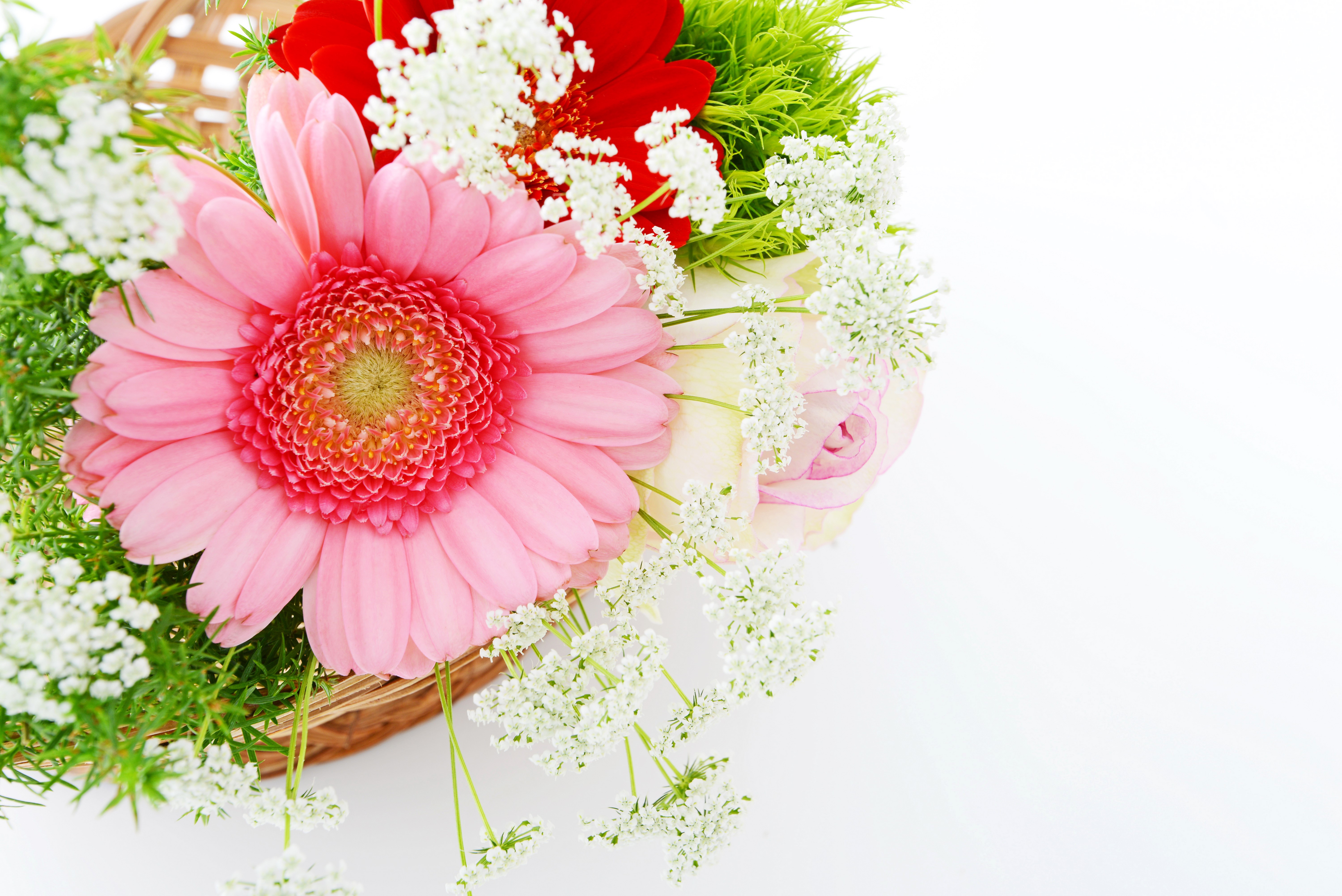 Pink Gerbera Daisy and White Flowers in Basket HD Wallpaper