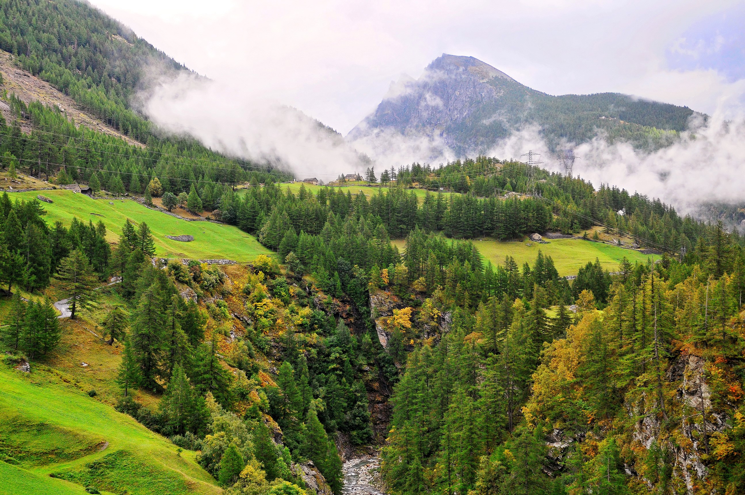 Mountain valley with forests and grasslands in Switzerland HD Wallpaper