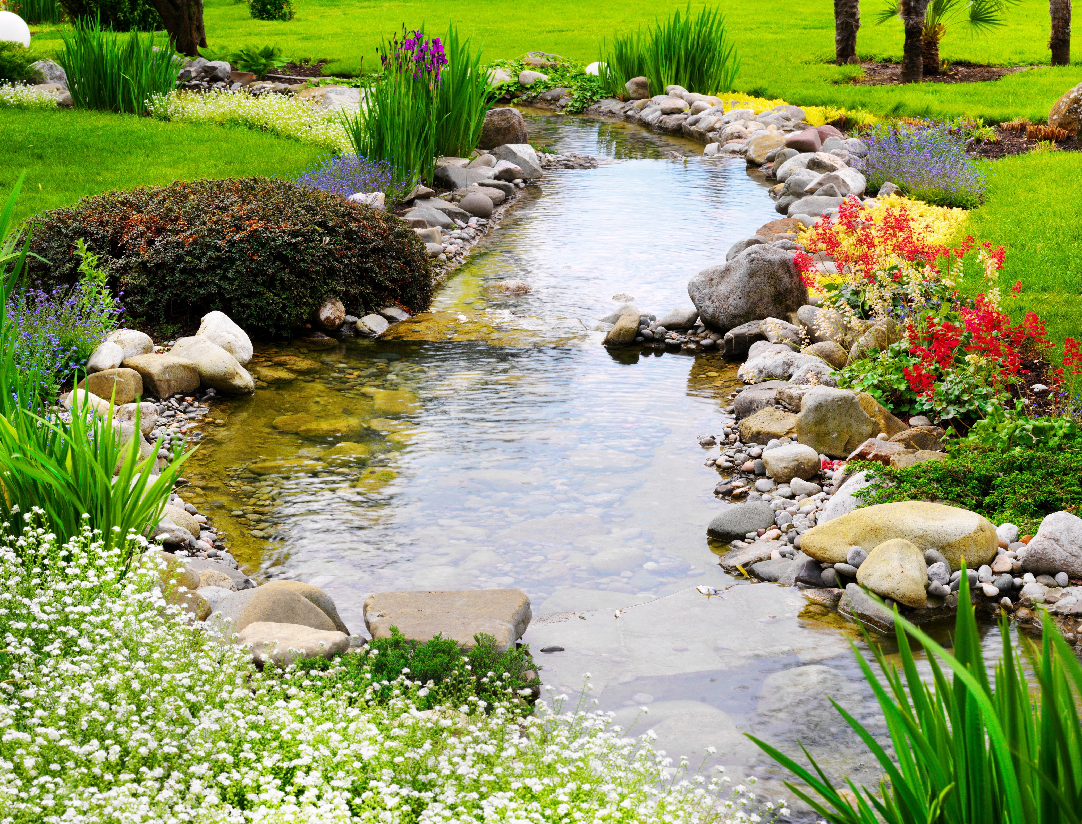 Park stream with stones and flowers HD Wallpaper