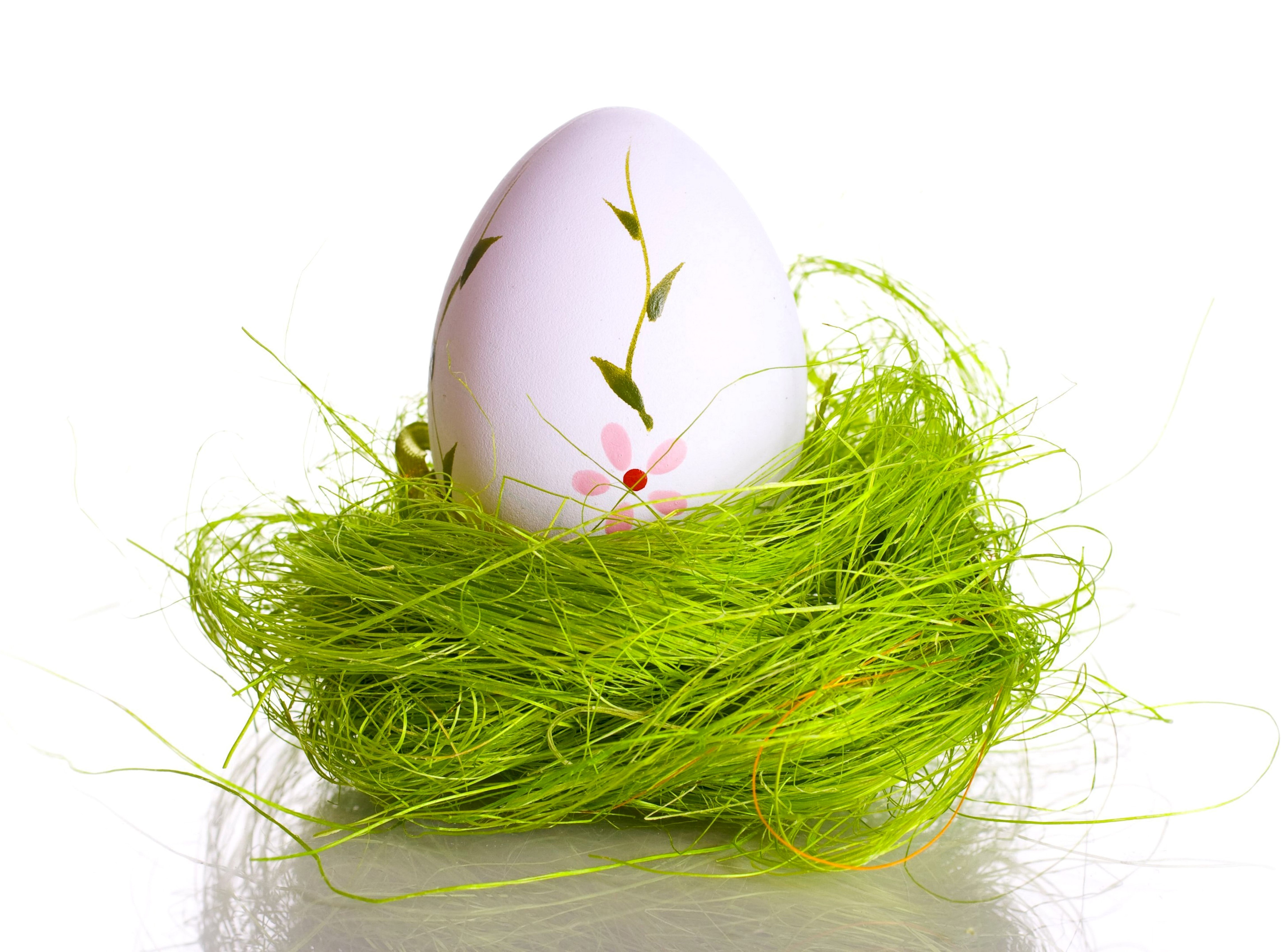 Easter egg in a nest HD Wallpaper